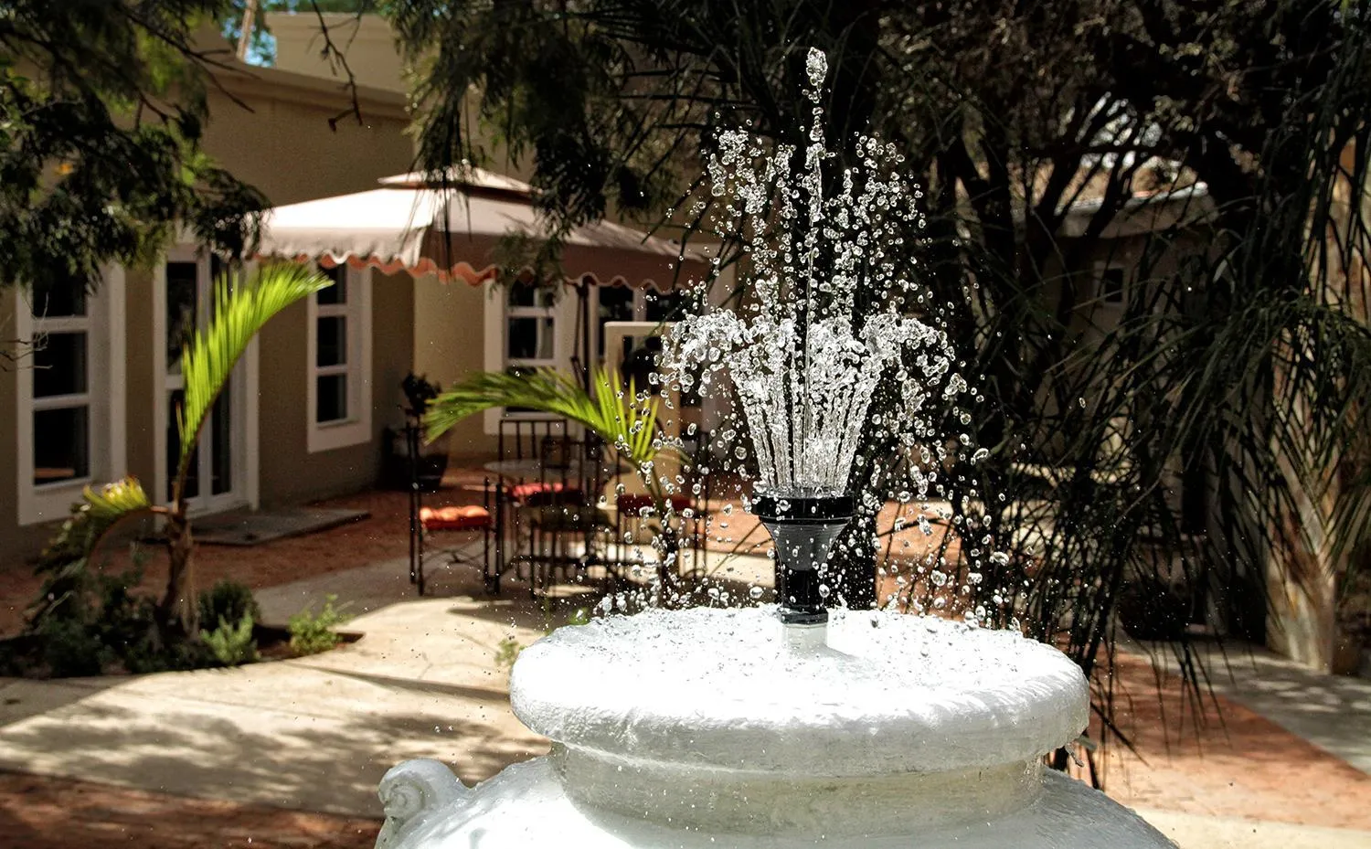 Restaurant/places to eat in Village Boutique Hotel