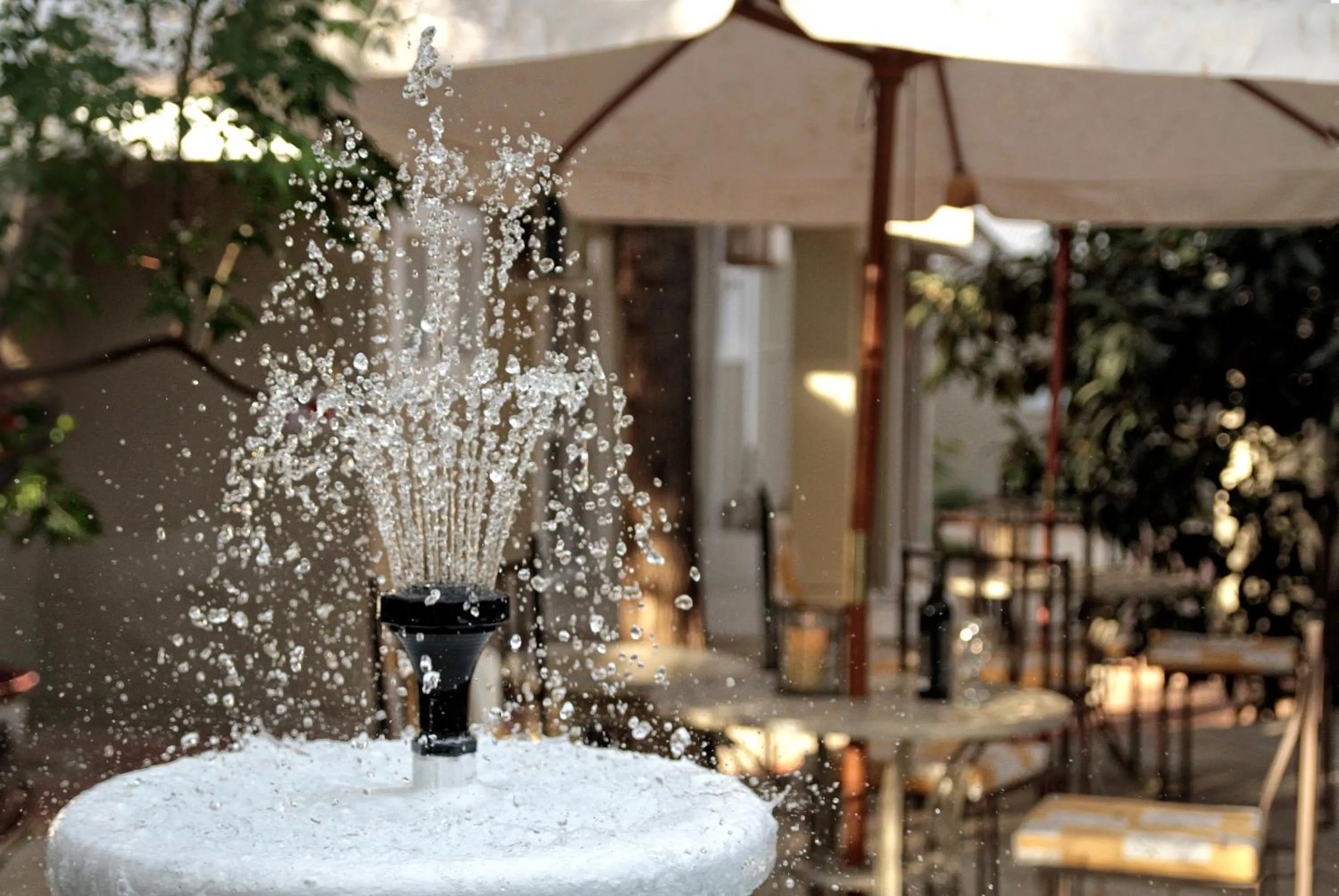 Restaurant/places to eat in Village Boutique Hotel