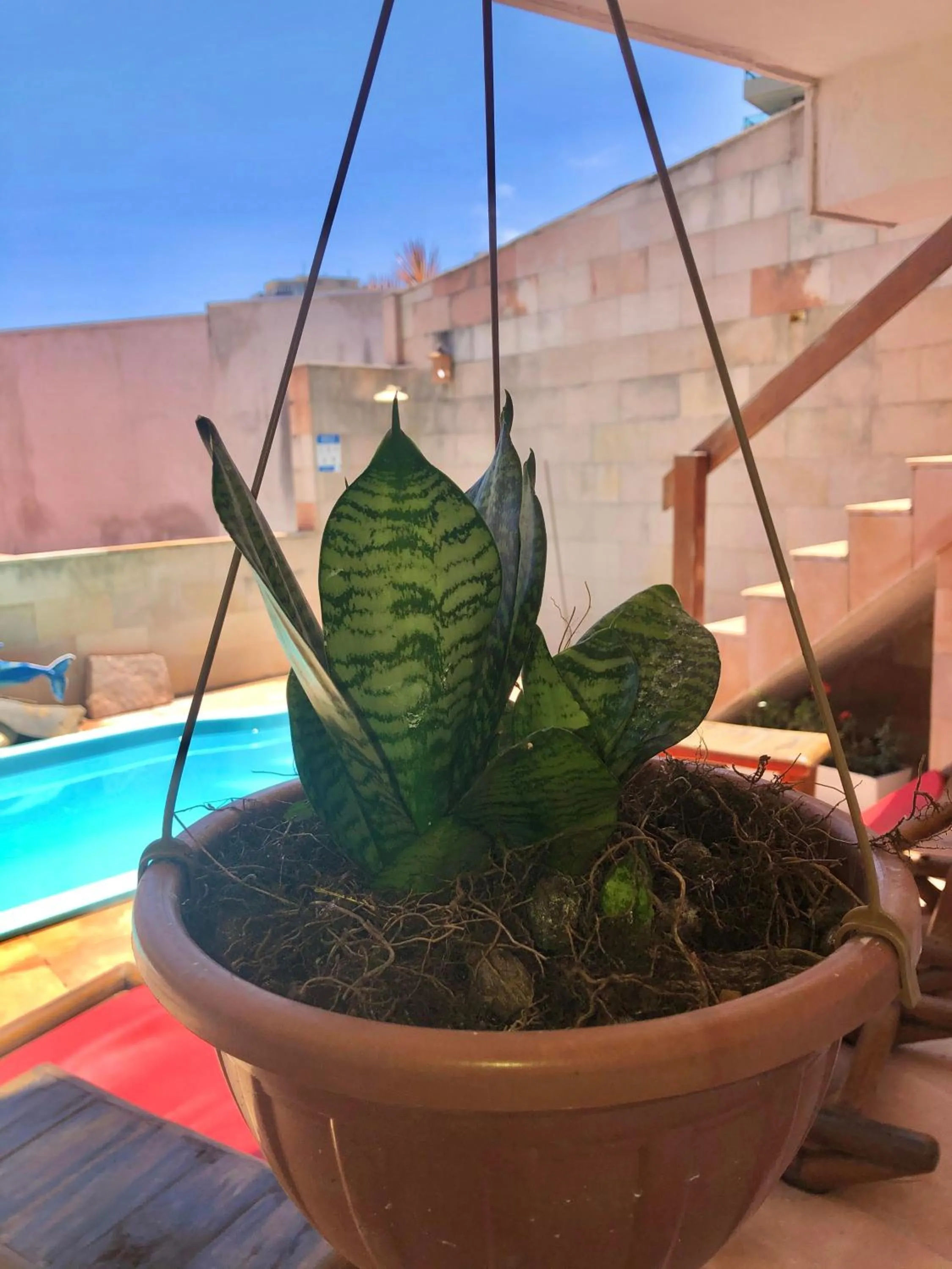 Pool view in Villa Domenico