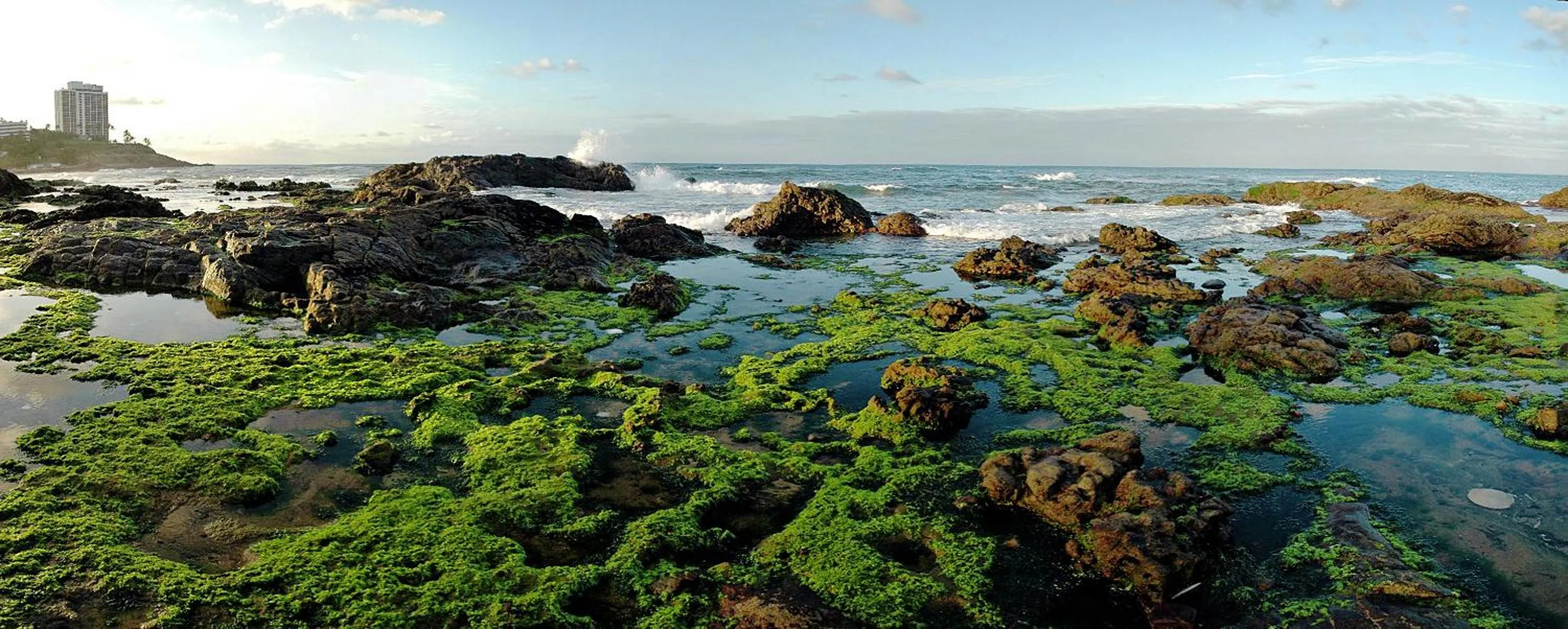 Nearby landmark in Villa Domenico