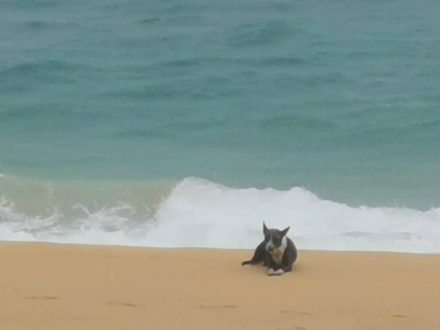 Beach in Sealord Naithon Beachfront Villa