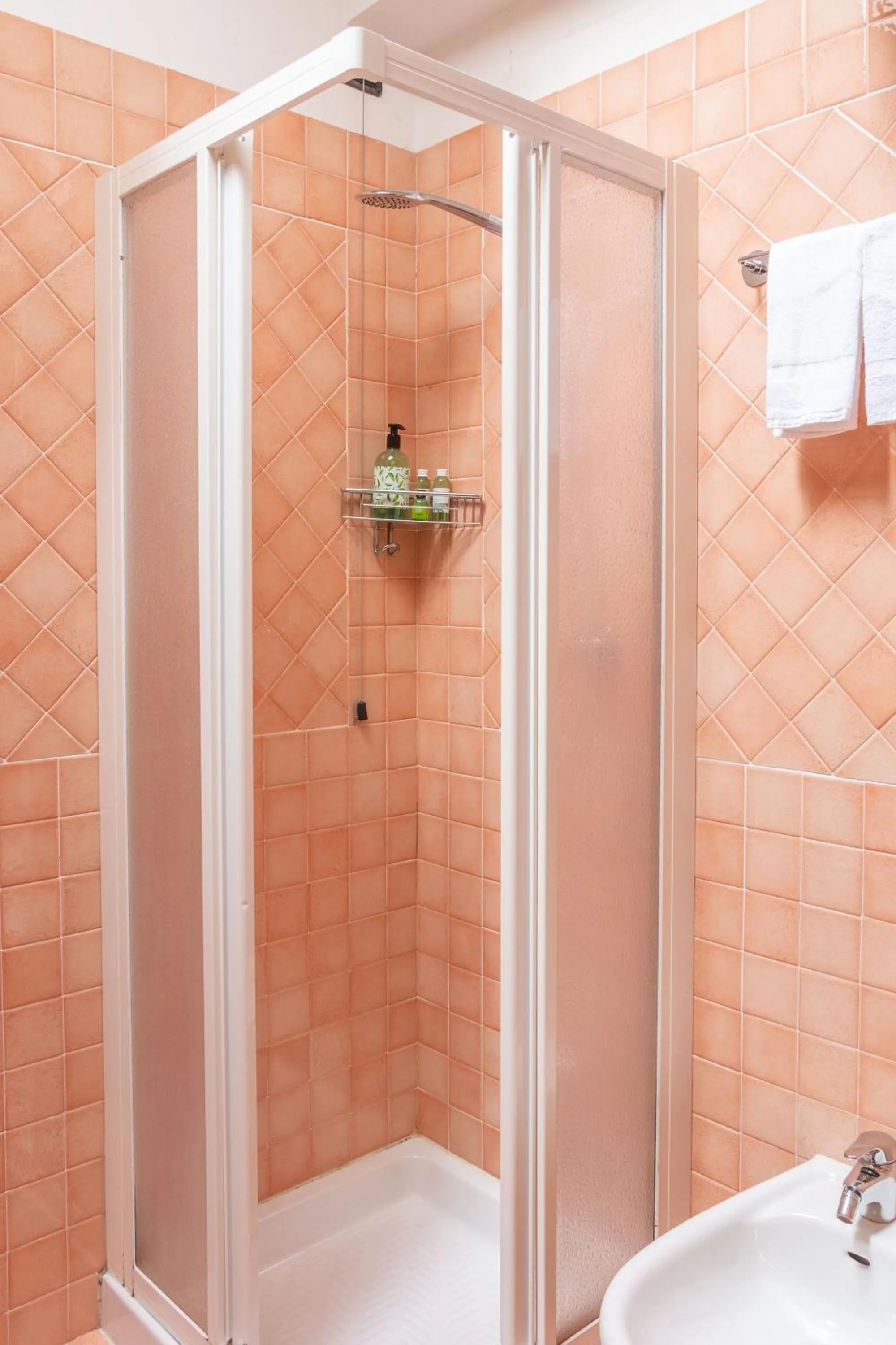 Bathroom in Nevesole Folgarida Resort Aparthotel