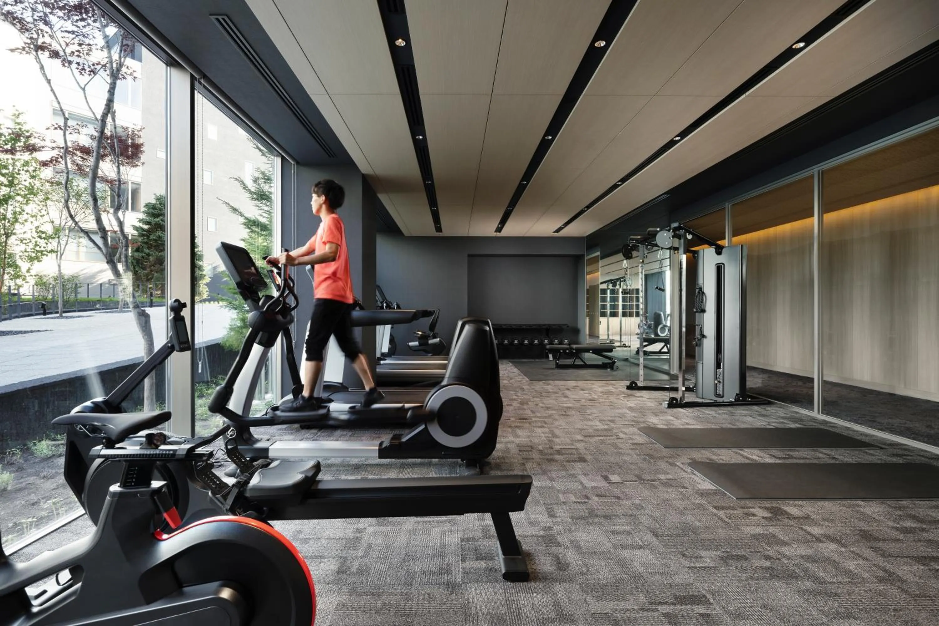 Fitness centre/facilities in Setsu Niseko