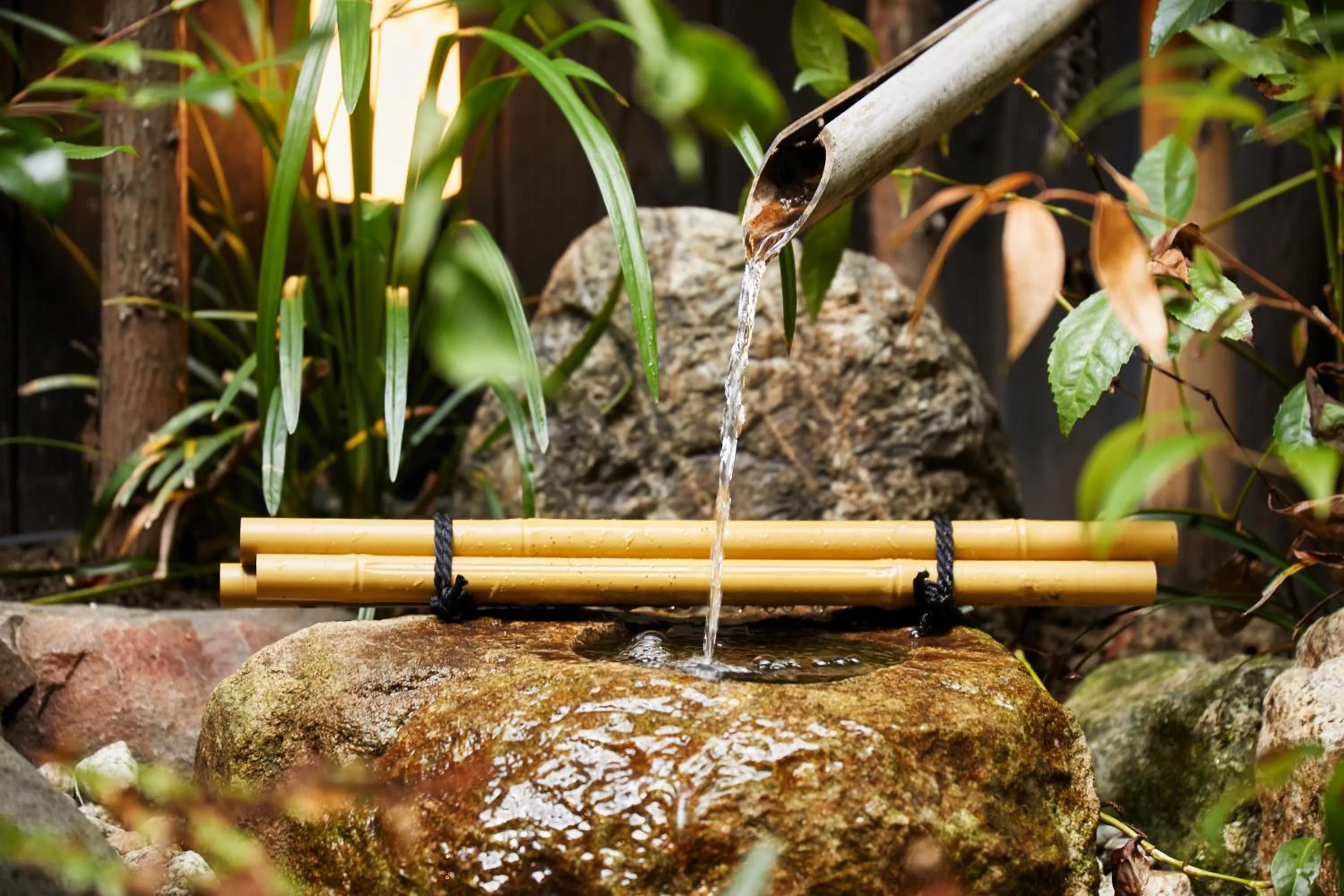 Garden view in TSUBOMI luxury Inn Shimabara Bettei 2