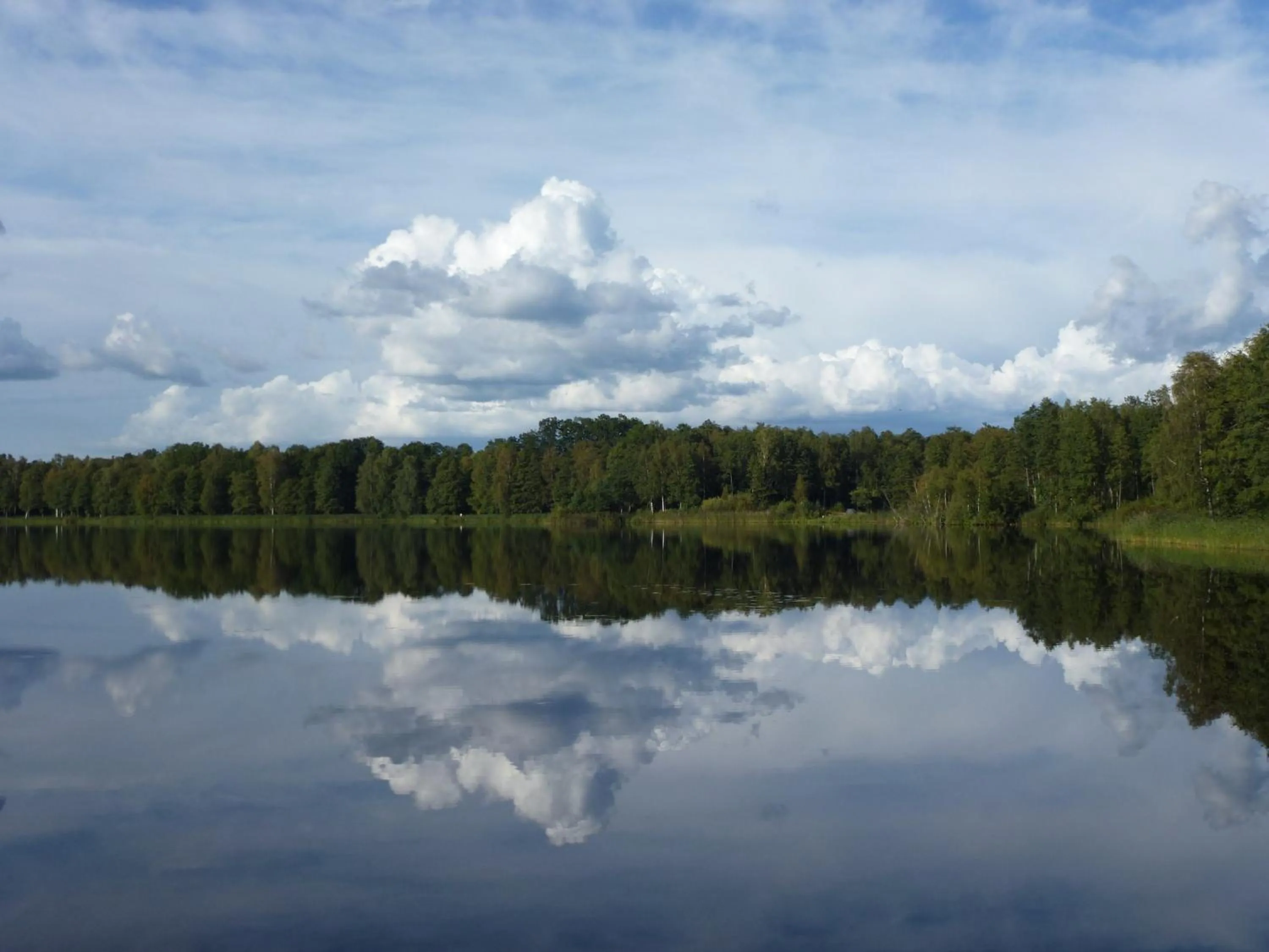 Natural landscape in Hotell Vita Hästen Hästveda