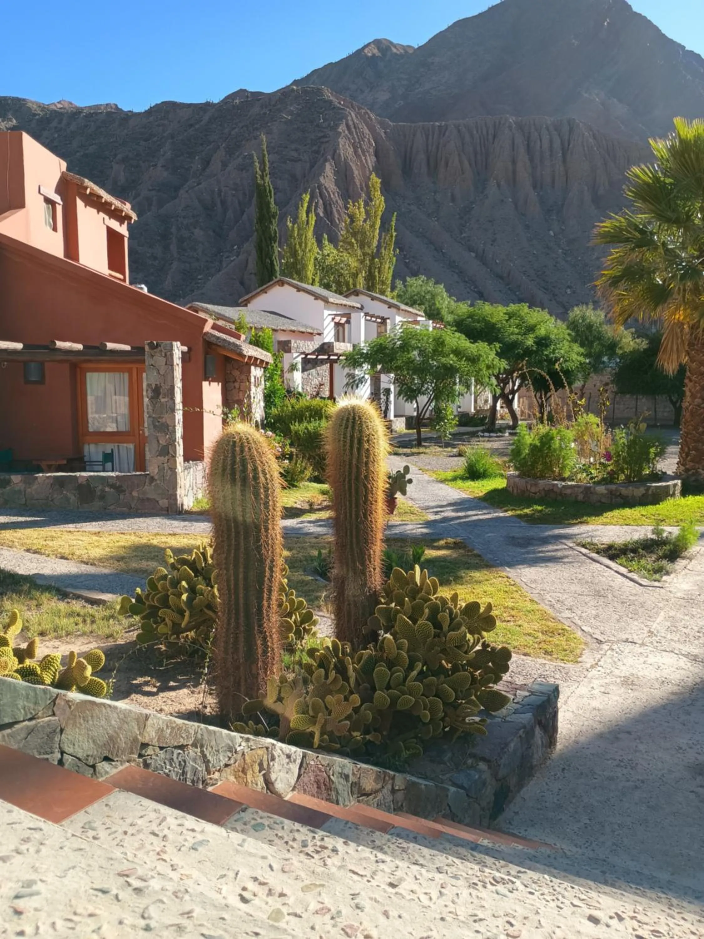 Mountain view in El Refugio de Coquena