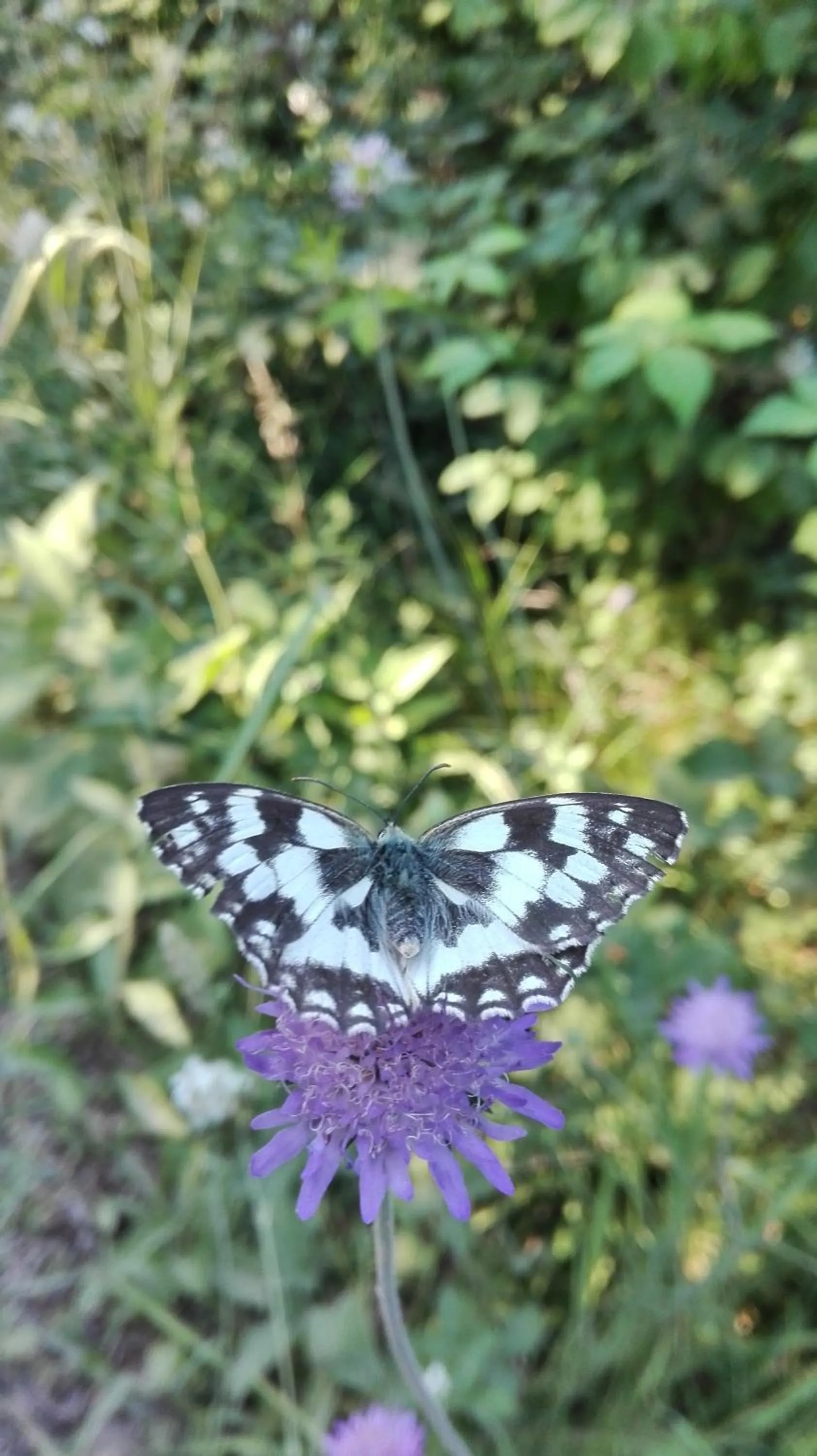 Natural landscape in Thalassa Locanda B&B e appartamento