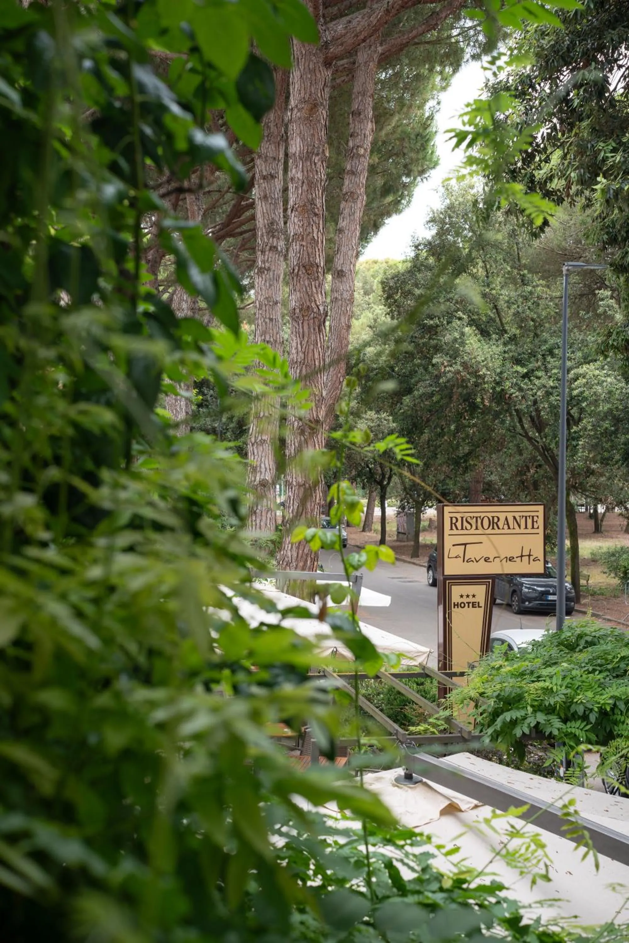 View (from property/room) in La Tavernetta