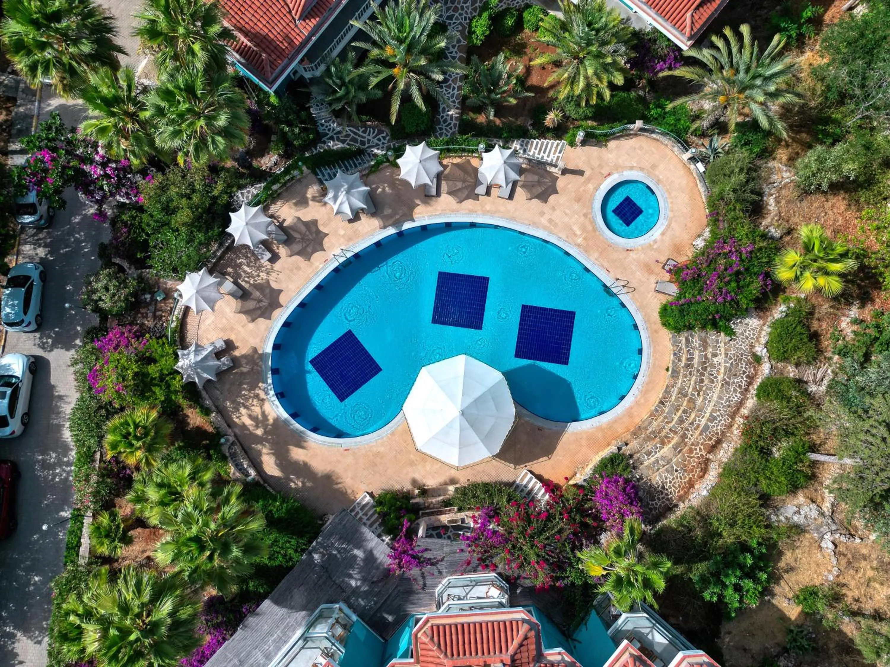 Garden in Aquarius Hotel