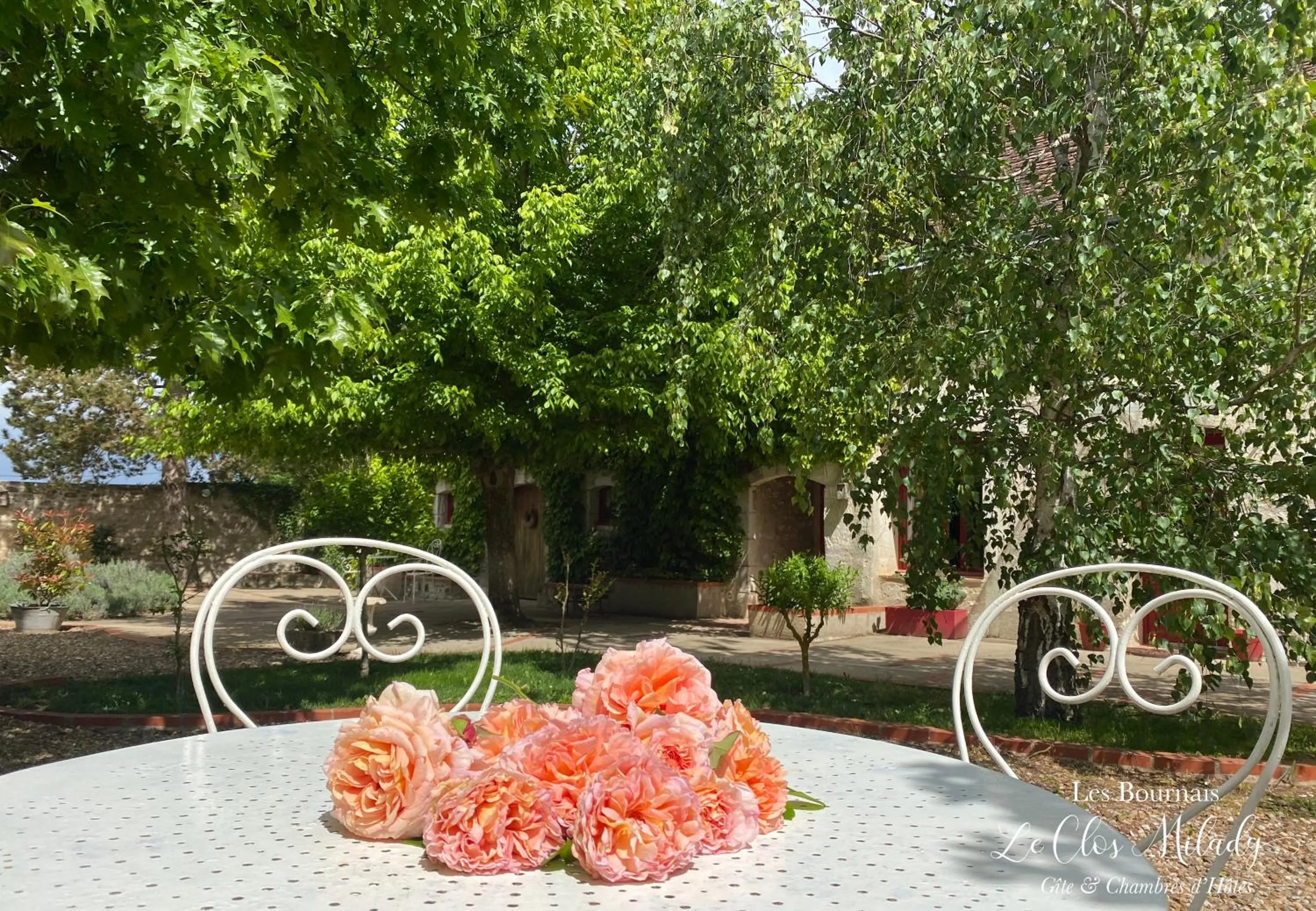 Day in Chambres d'Hôtes Les Bournais - Le Clos Milady