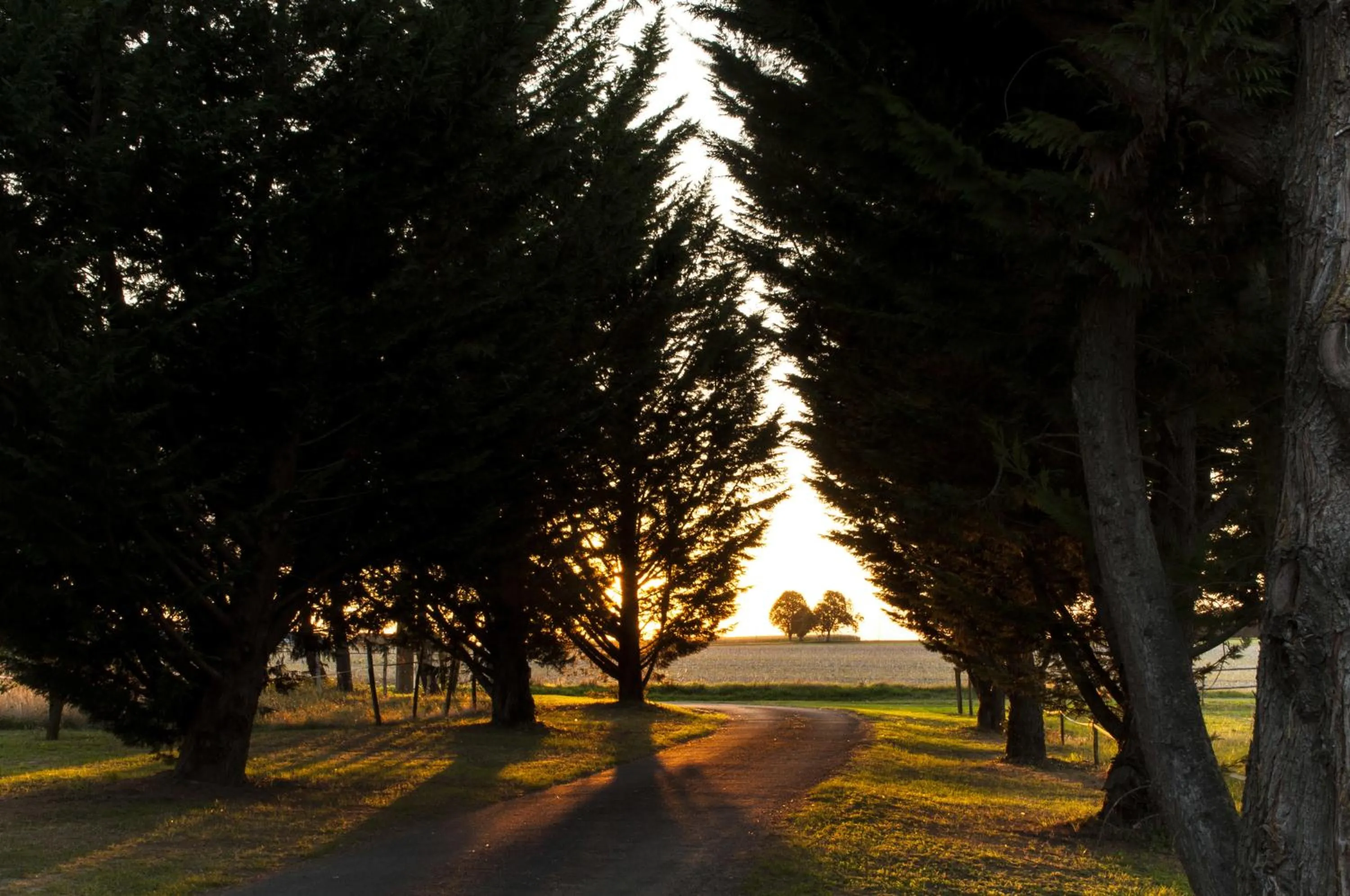 Facade/entrance in Chambres d'Hôtes Les Bournais - Le Clos Milady