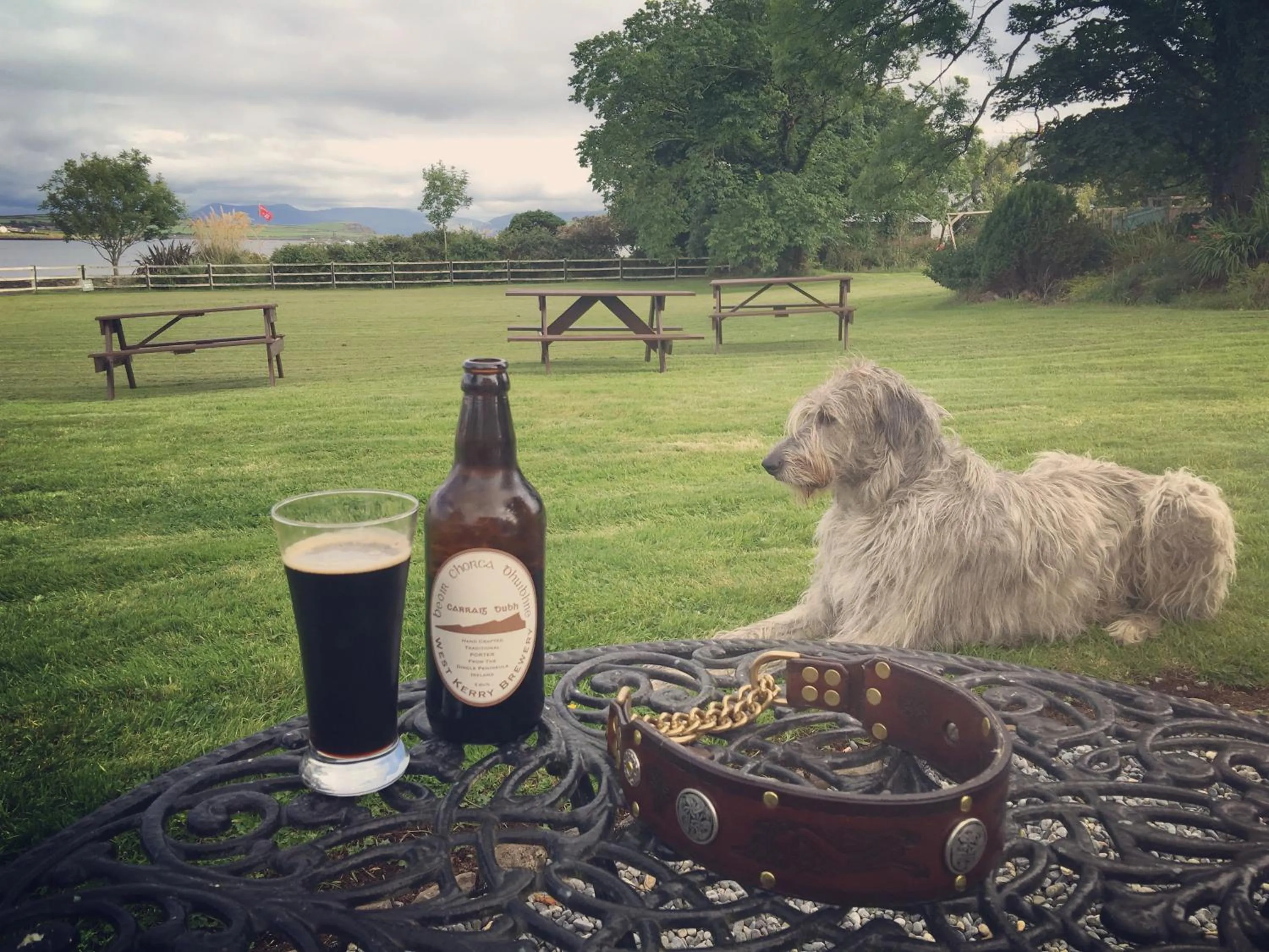Garden in Milltown House Dingle