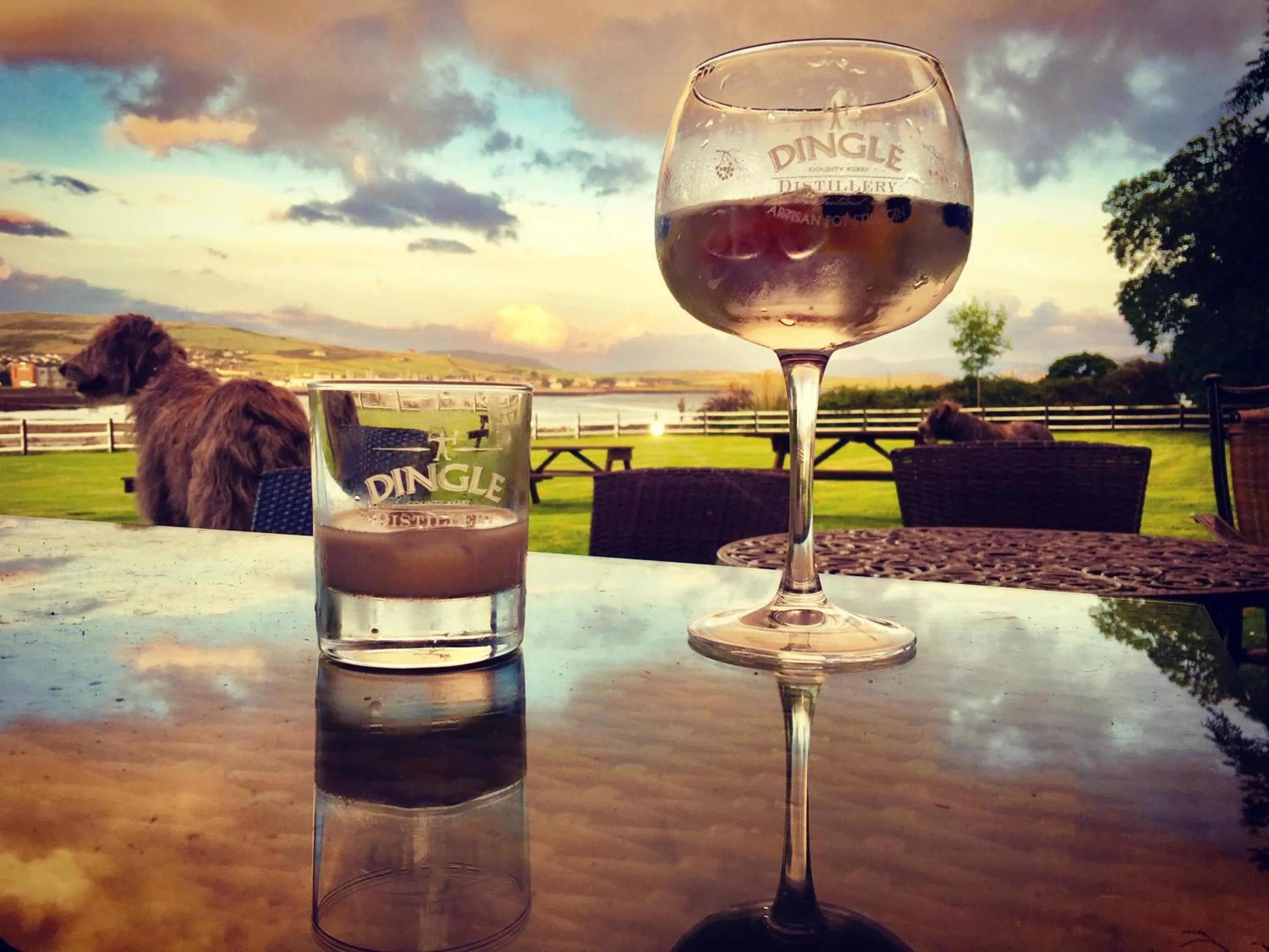 Pets in Milltown House Dingle