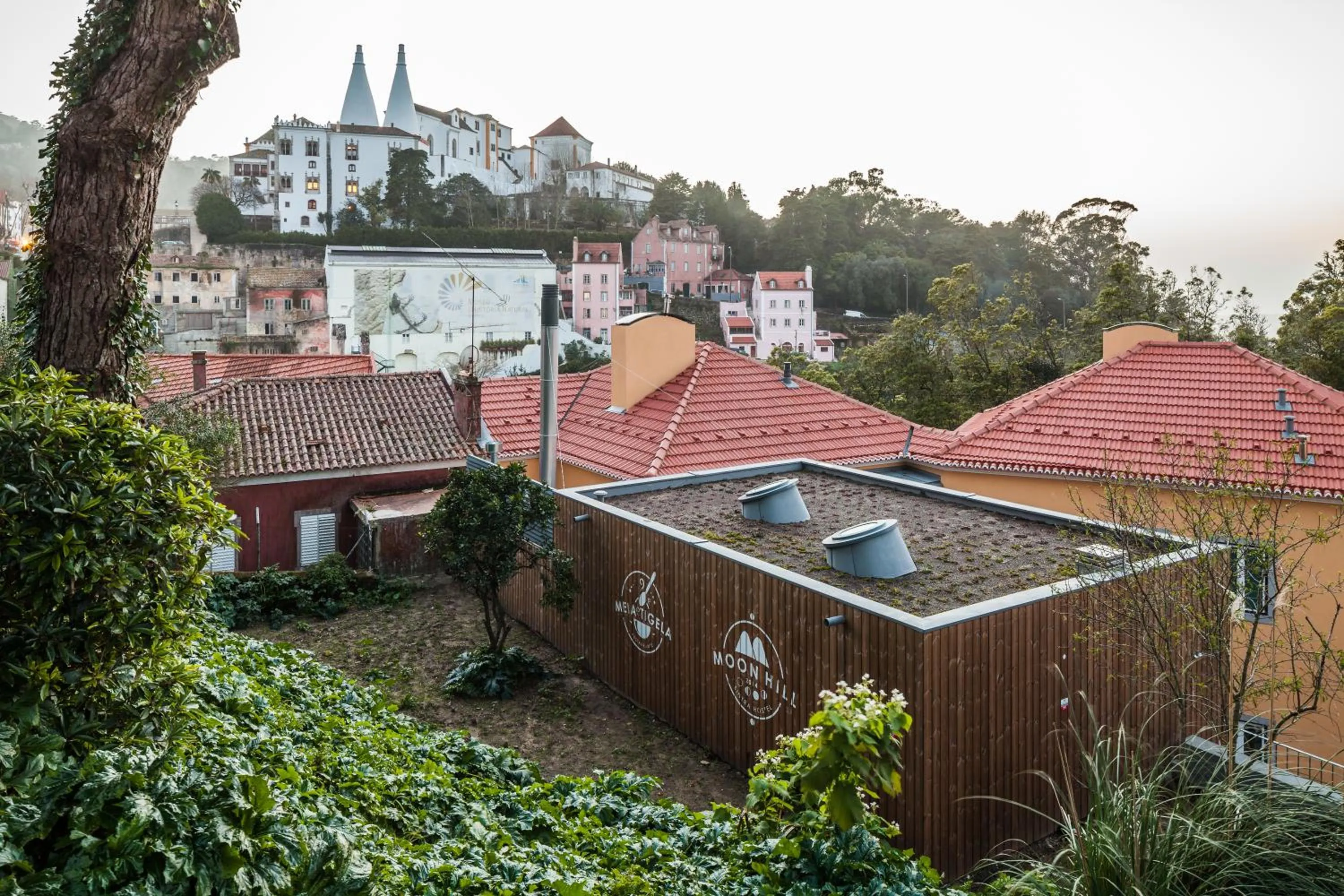 View (from property/room) in Moon Hill Hostel