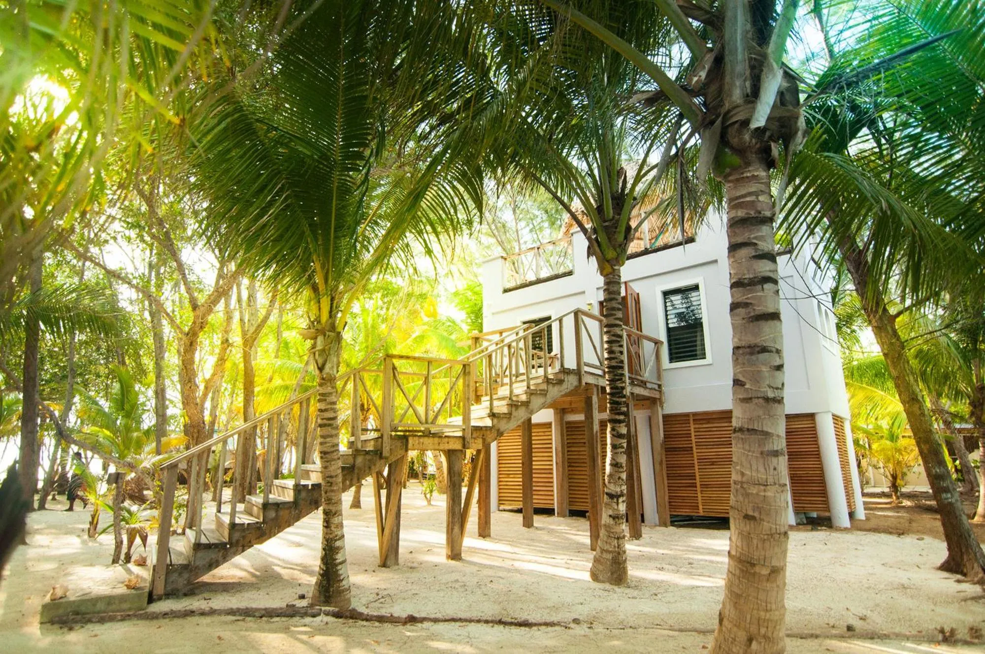 View (from property/room) in Thatch Caye Resort a Muy'Ono Resort