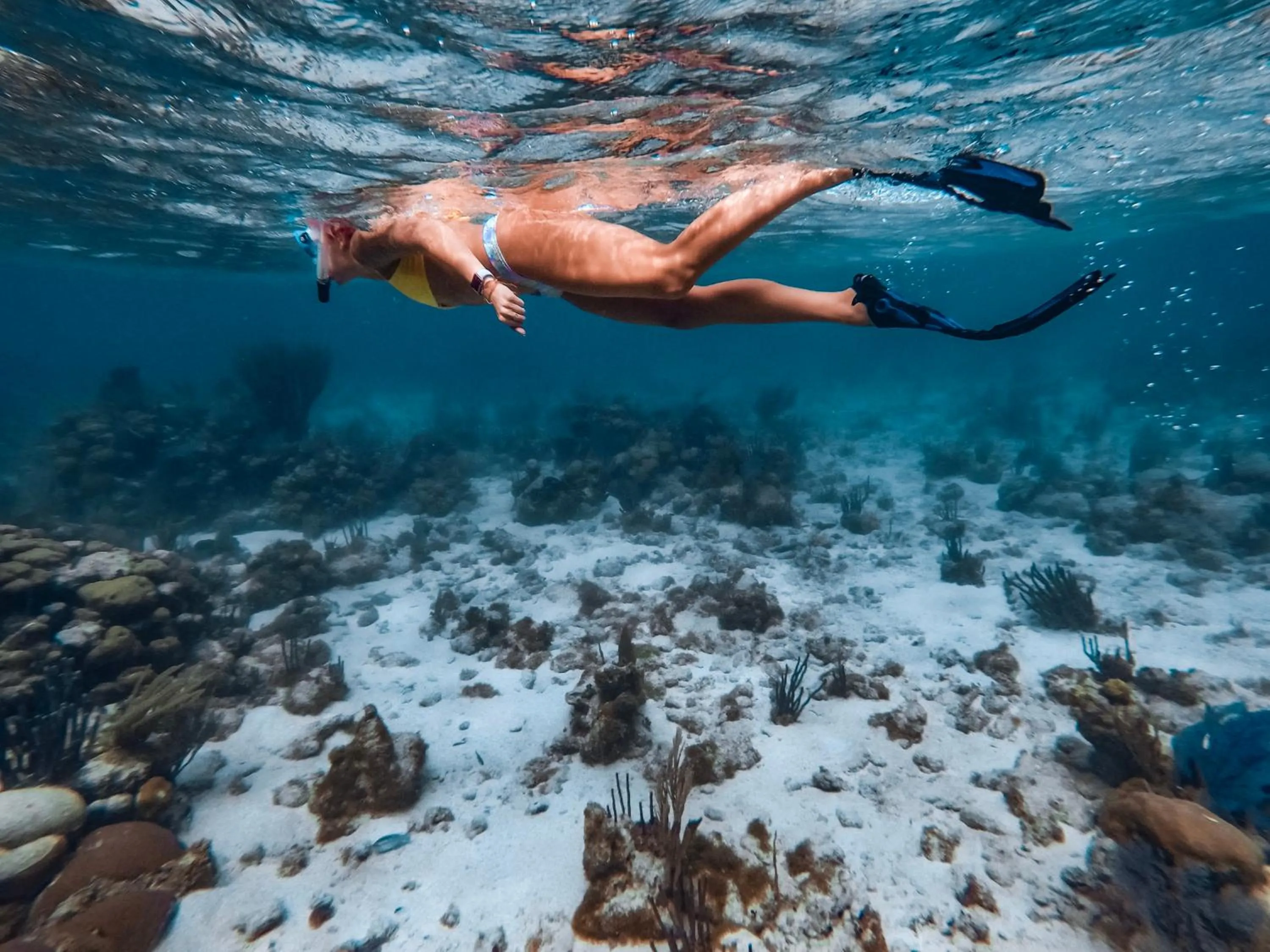 Snorkeling in Thatch Caye Resort a Muy'Ono Resort