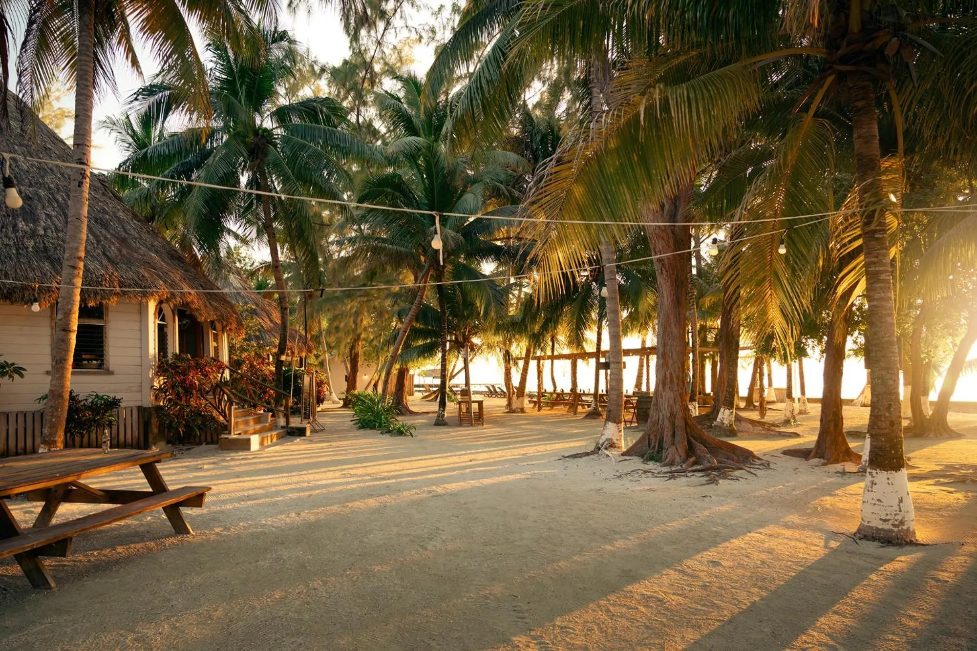 Beach in Thatch Caye Resort a Muy'Ono Resort