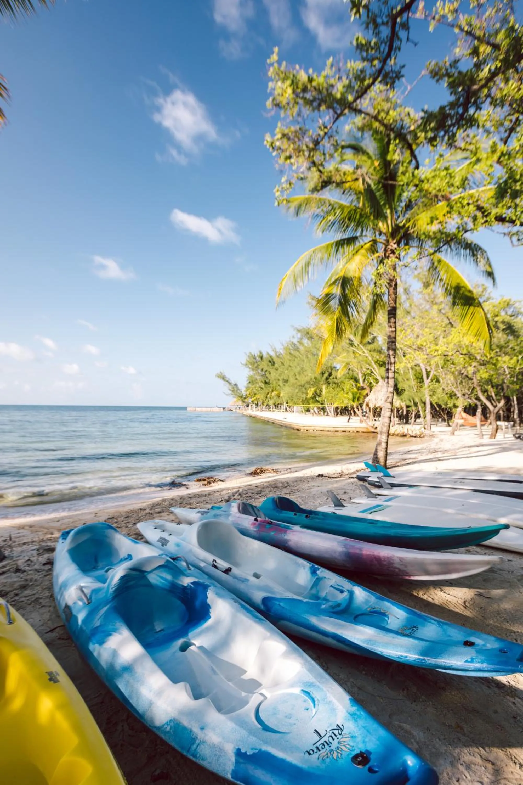 Beach in Thatch Caye Resort a Muy'Ono Resort