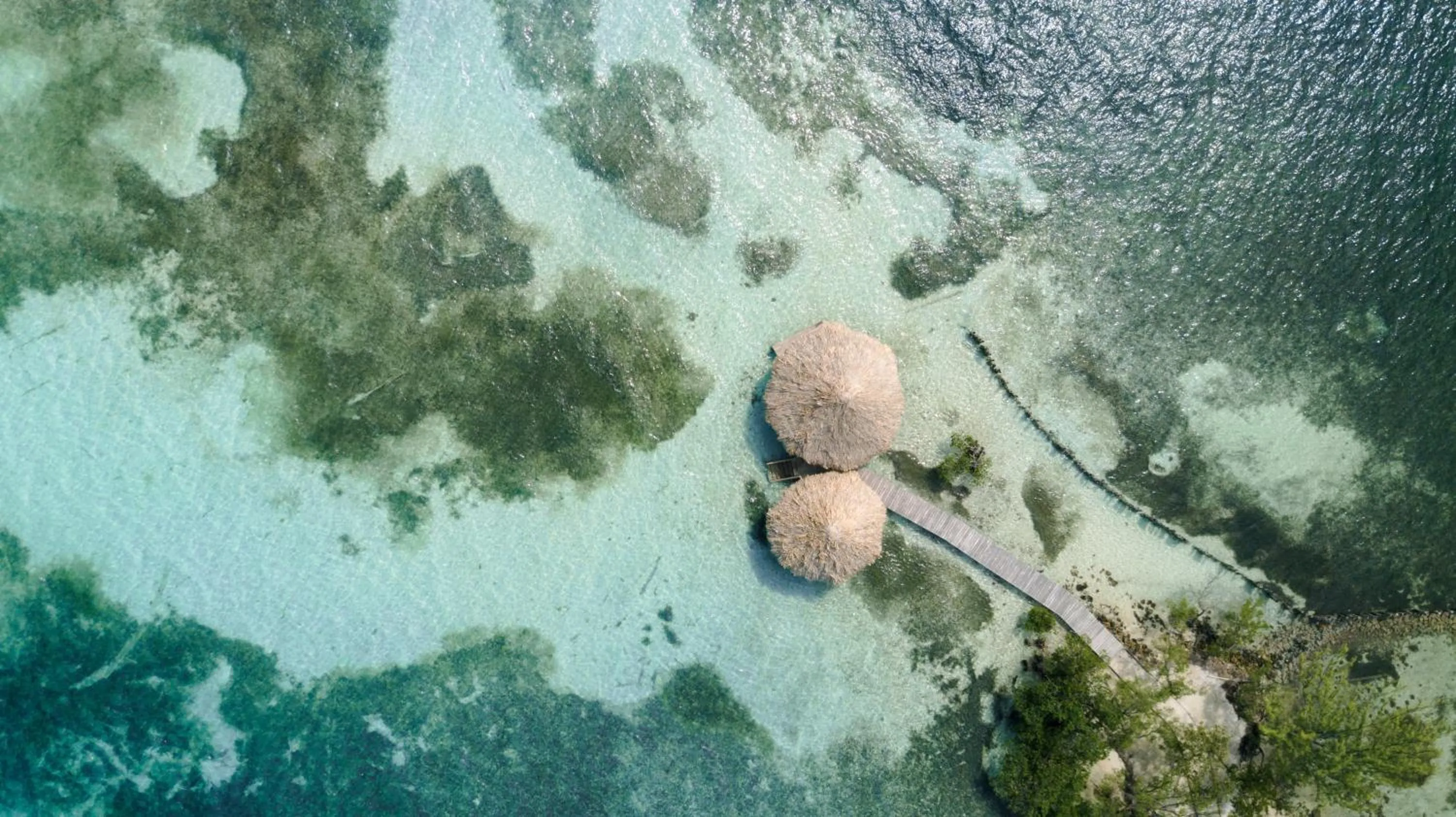 Natural landscape in Thatch Caye Resort a Muy'Ono Resort