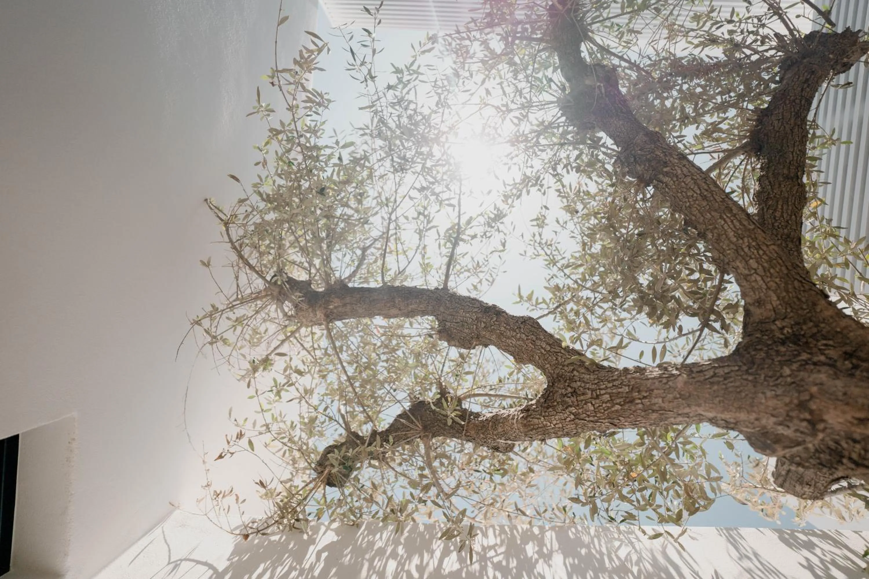 Day in CUBIC Mykonos Seafront Design Suites