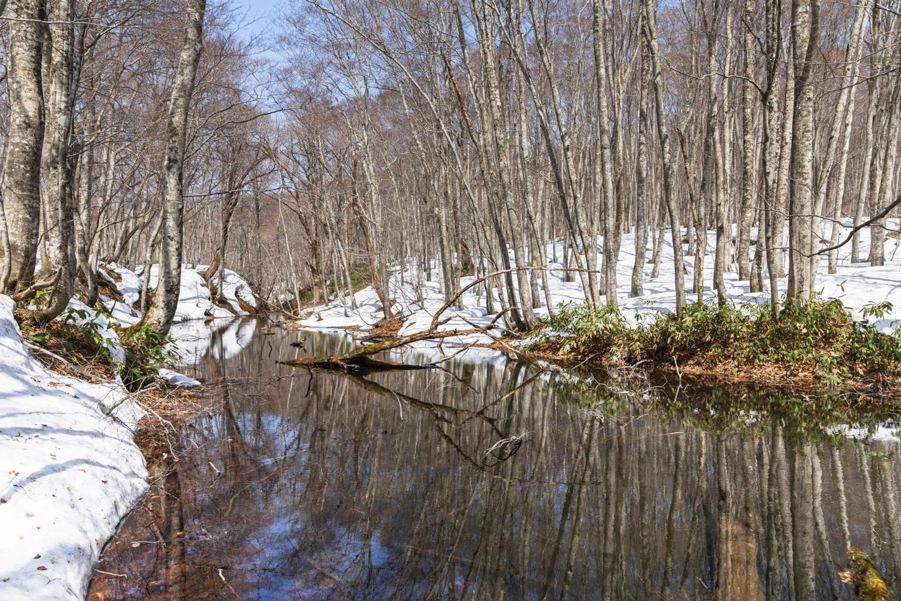Nearby landmark in Tsuta Onsen Ryokan