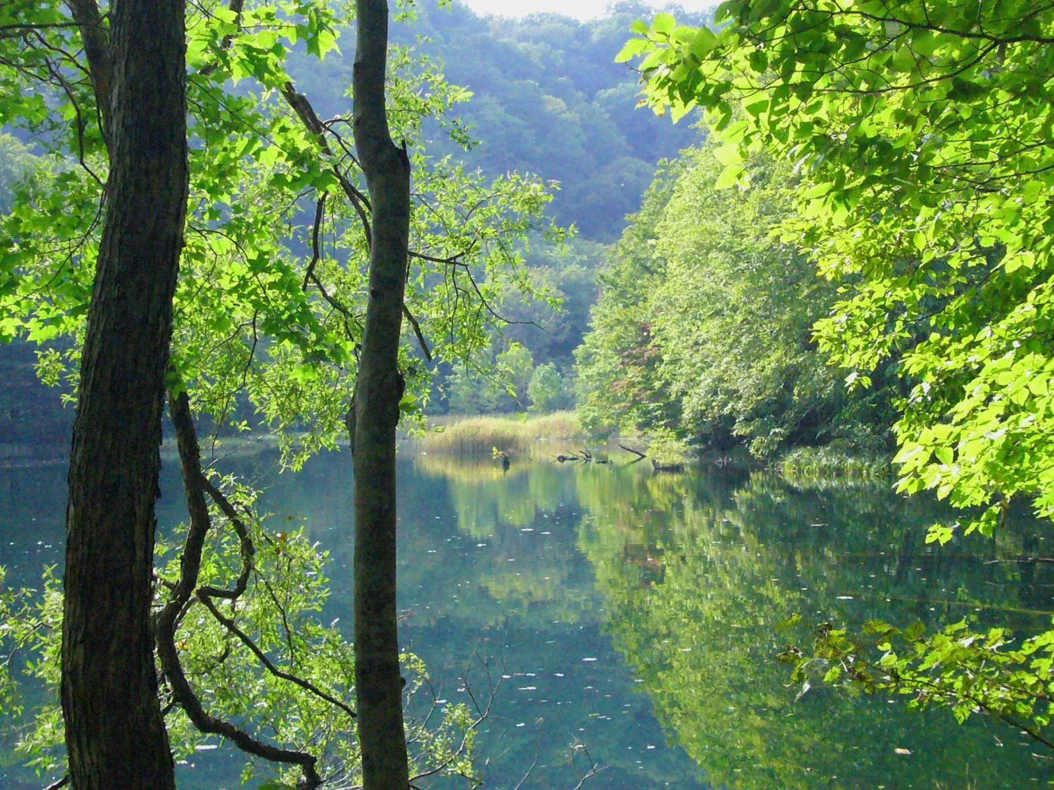 Nearby landmark in Tsuta Onsen Ryokan