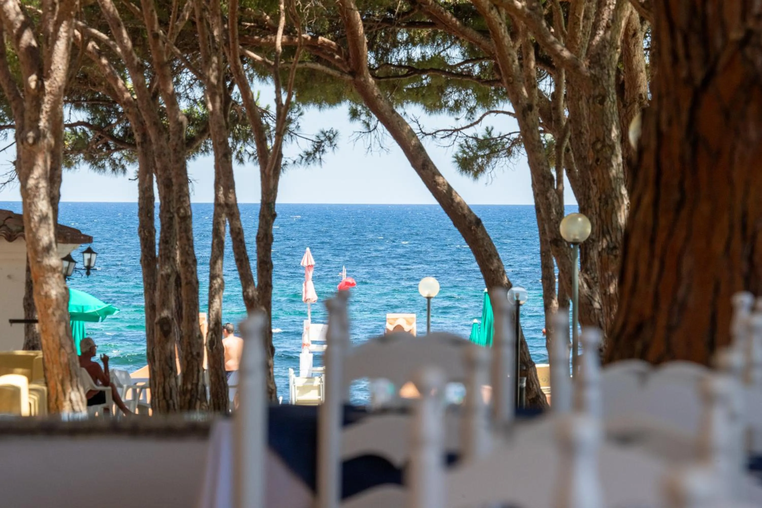 Restaurant/places to eat in Club Hotel Marina Seada Beach