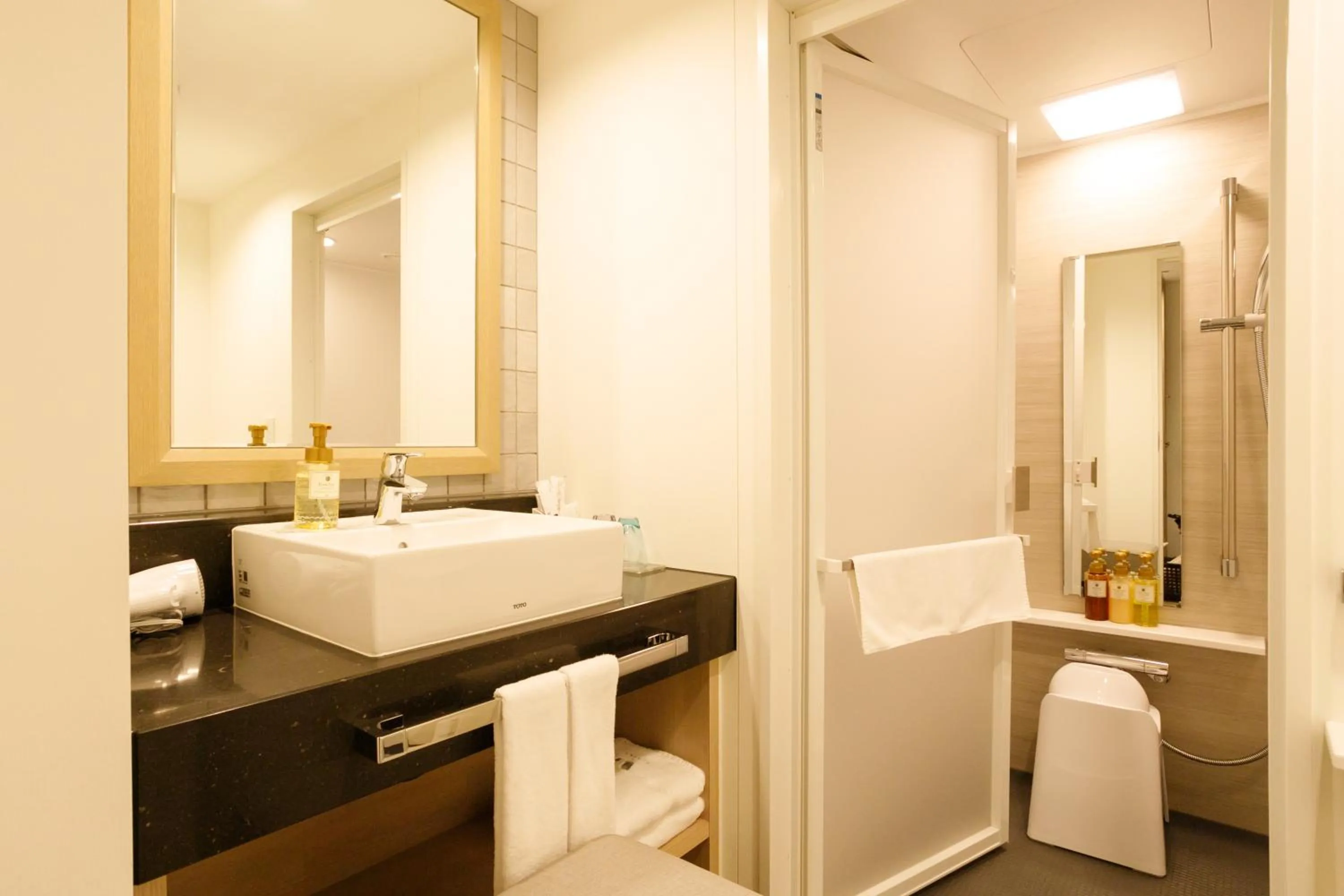 Shower in Via Inn Iidabashi Korakuen