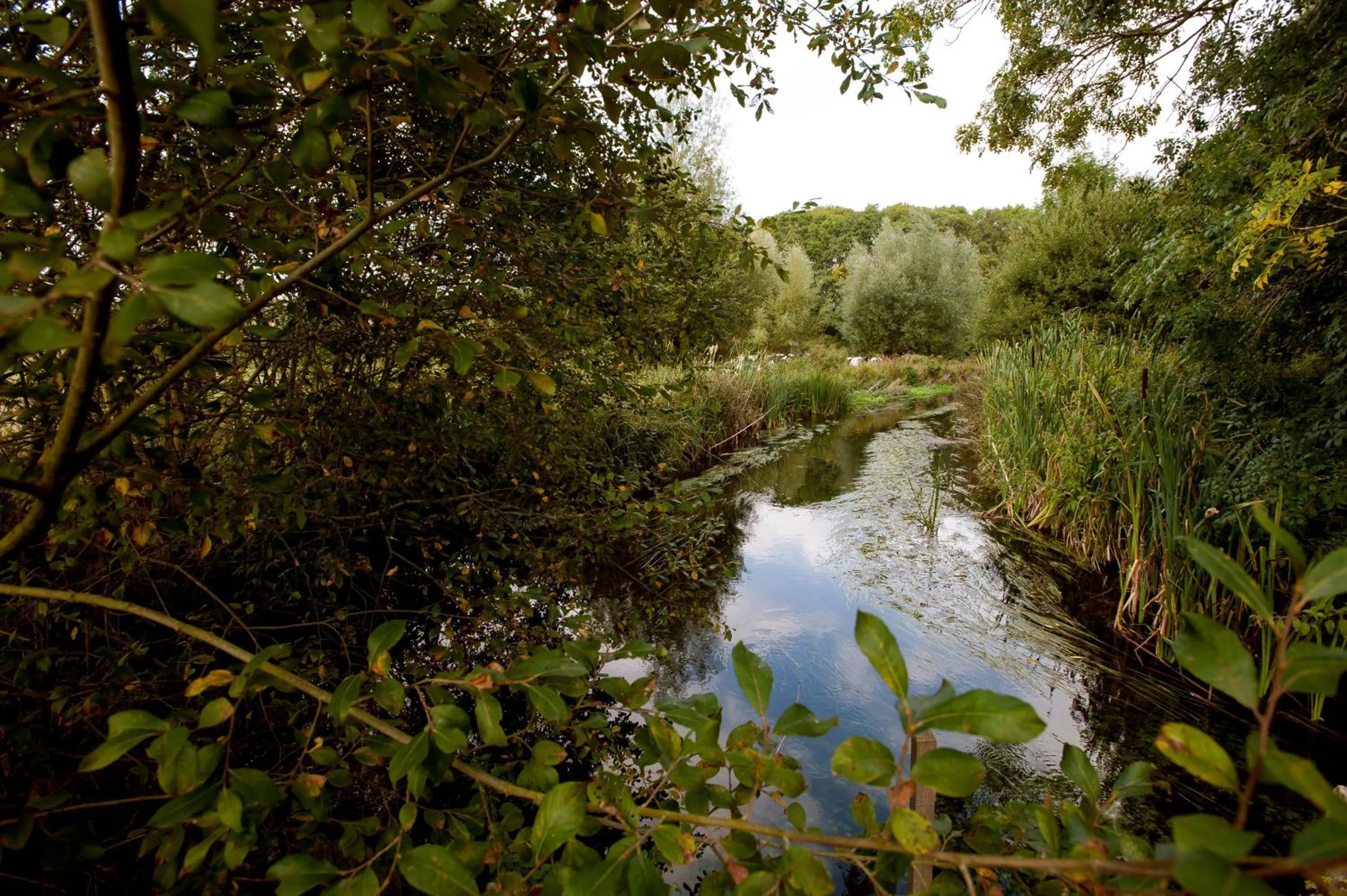 Area and facilities in The Peat Spade Inn