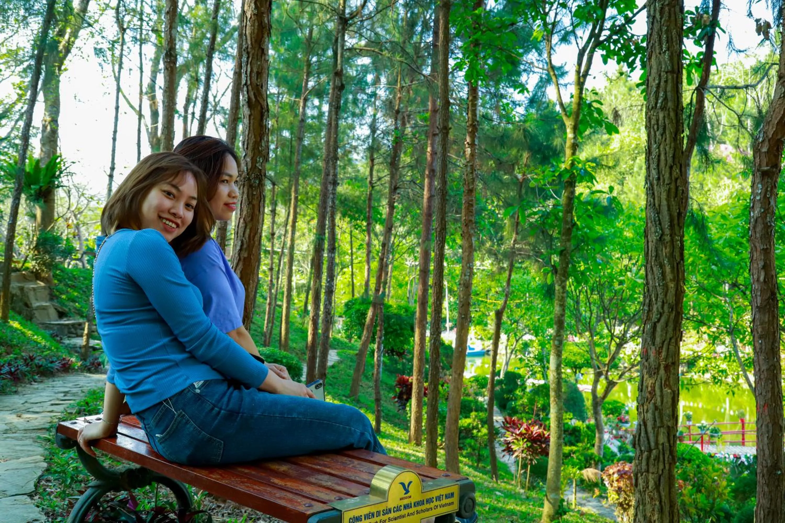 Property building in MEDDOM Park