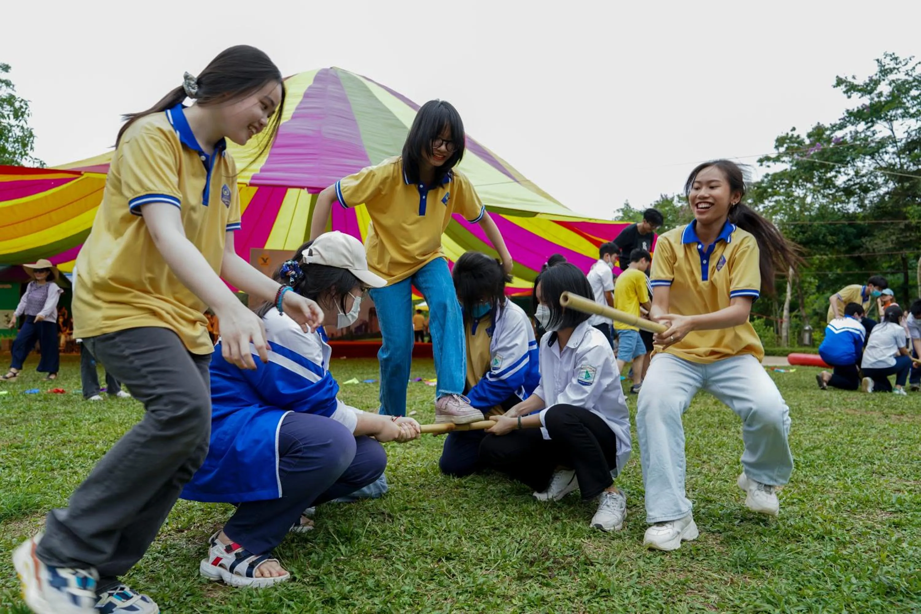 Property building in MEDDOM Park