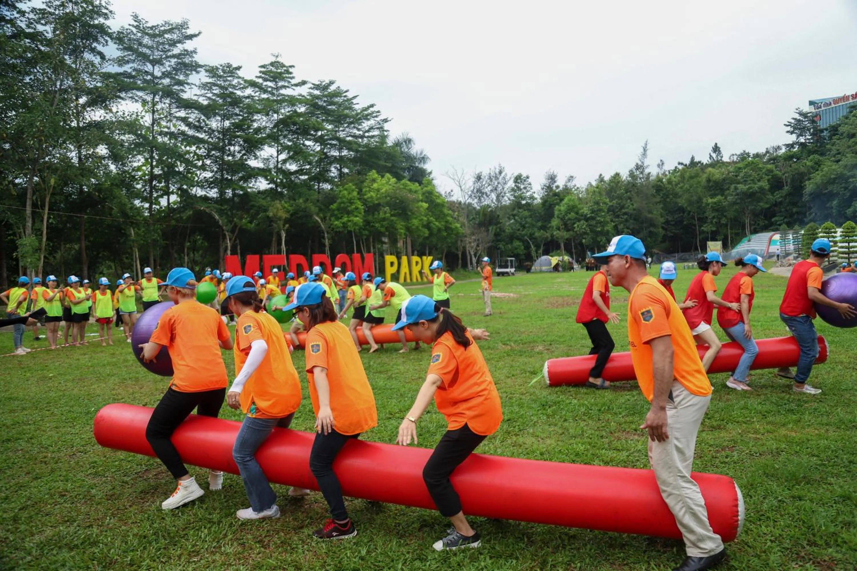 Property building in MEDDOM Park