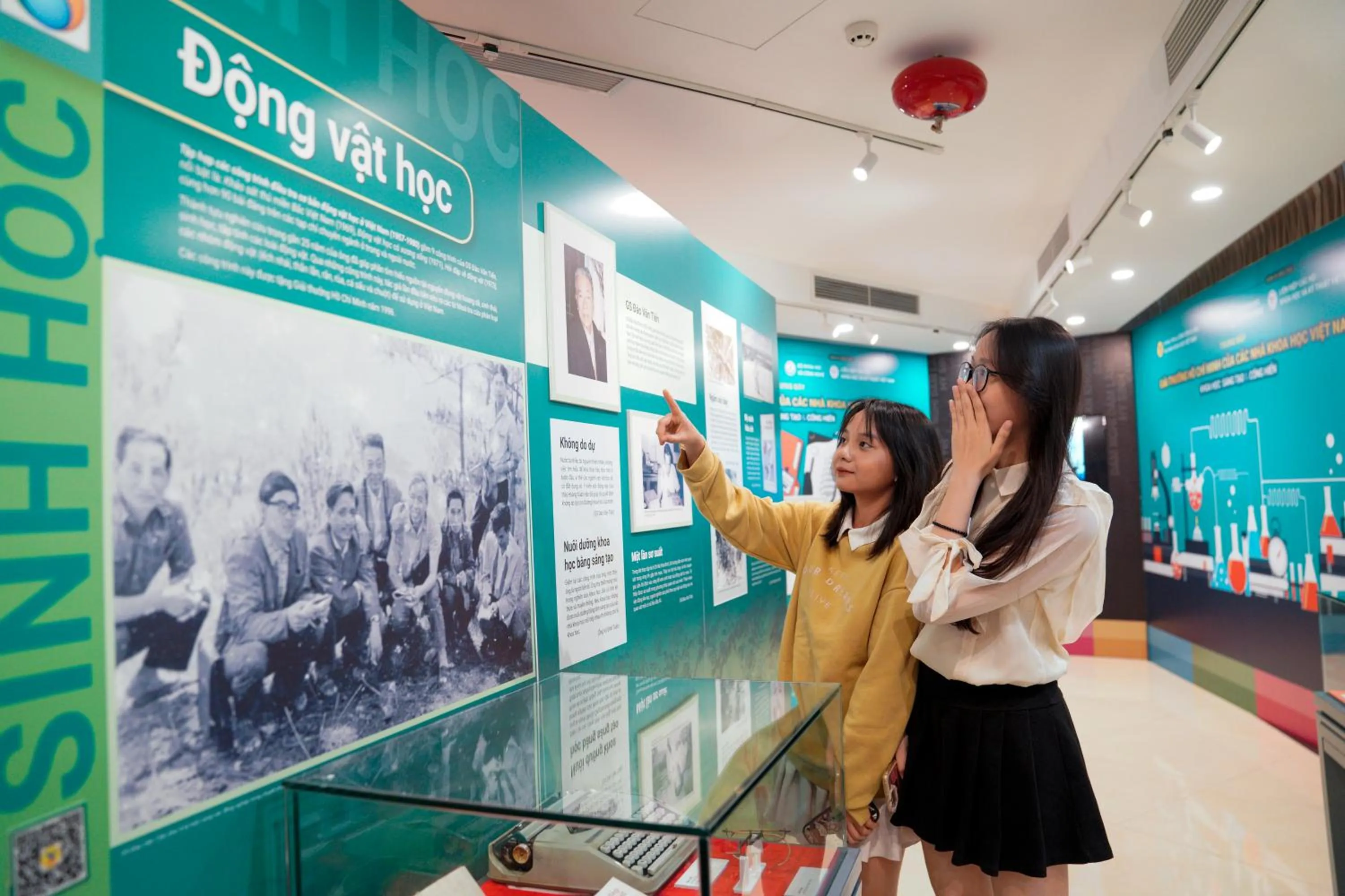 Property building in MEDDOM Park