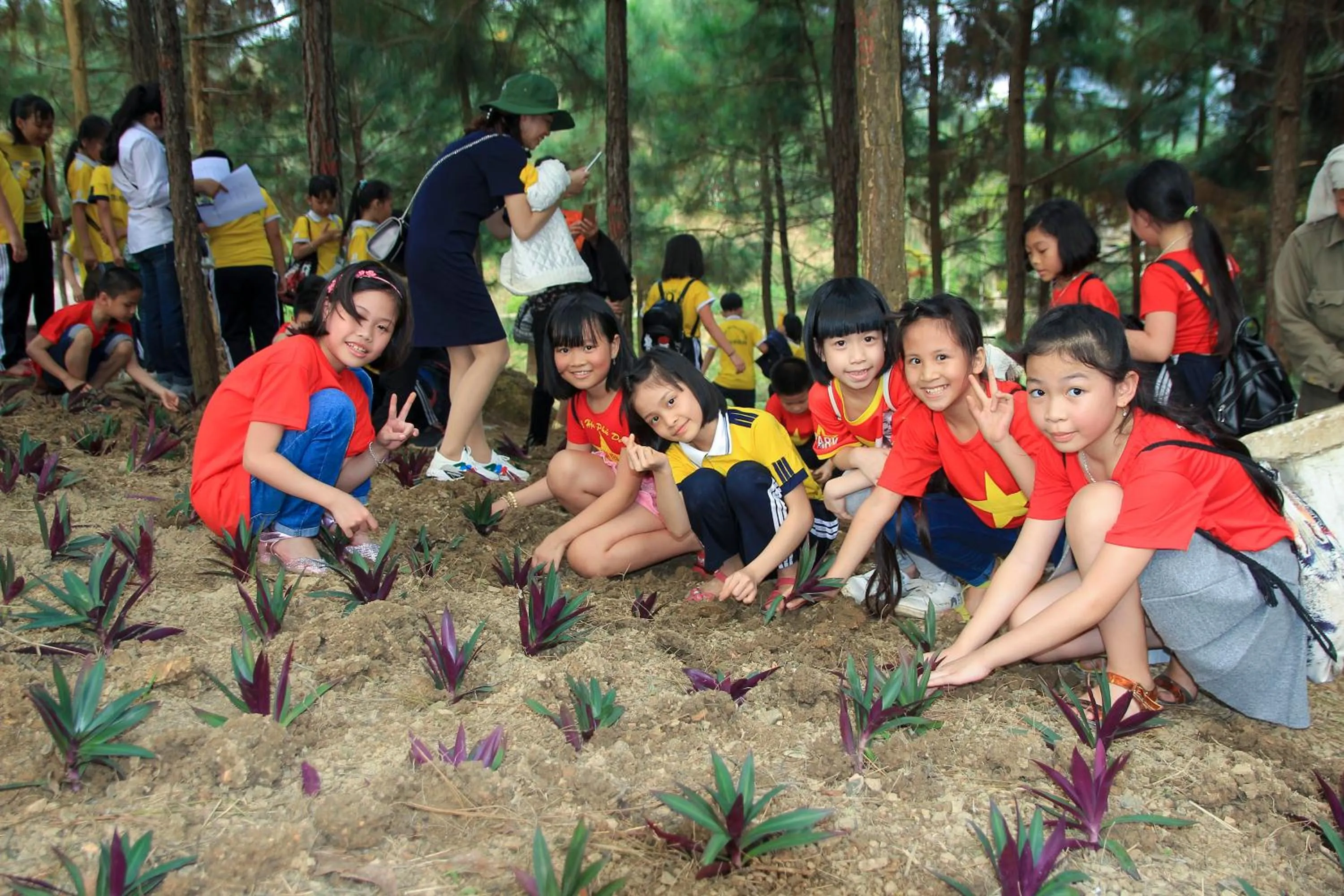 Property building in MEDDOM Park