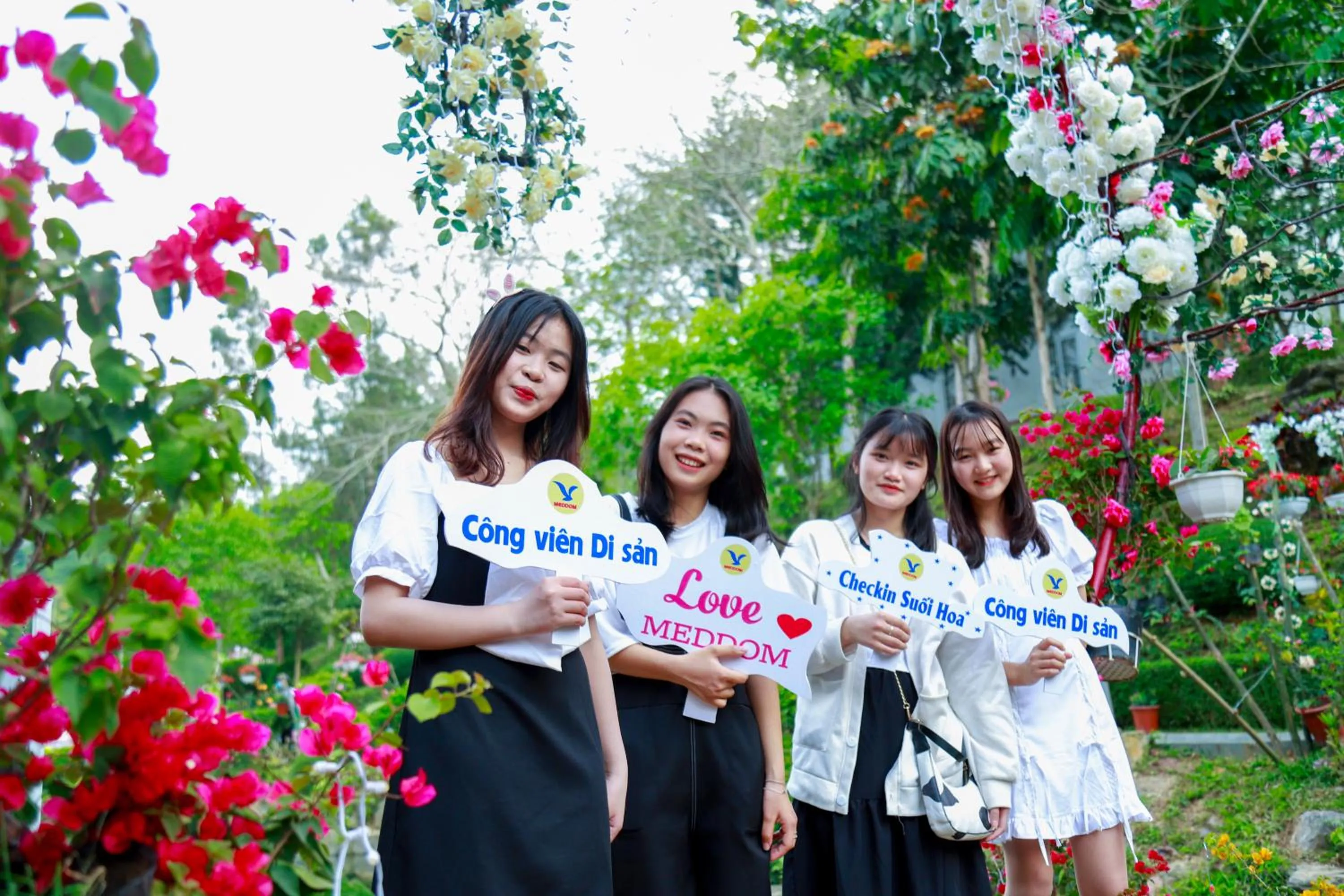 Property building in MEDDOM Park