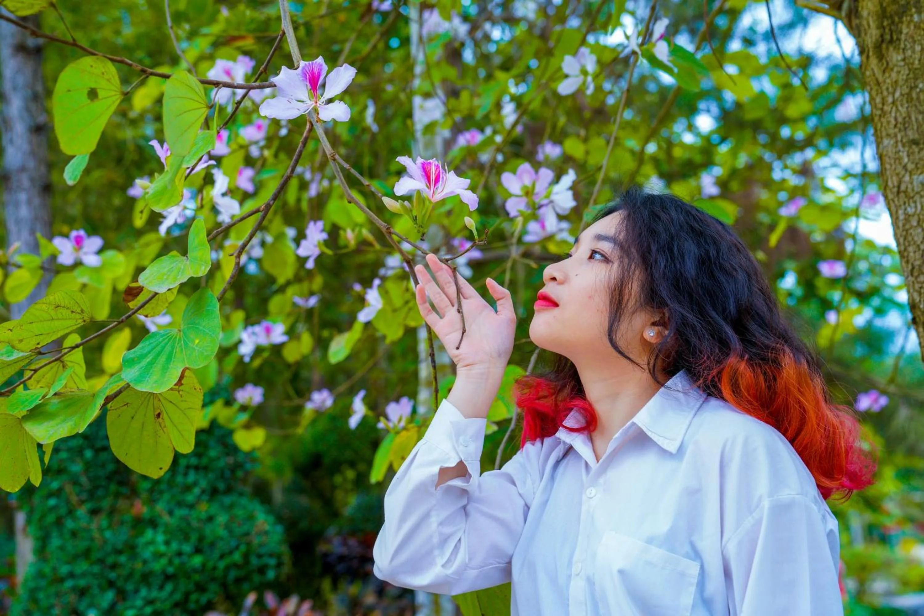 Property building in MEDDOM Park