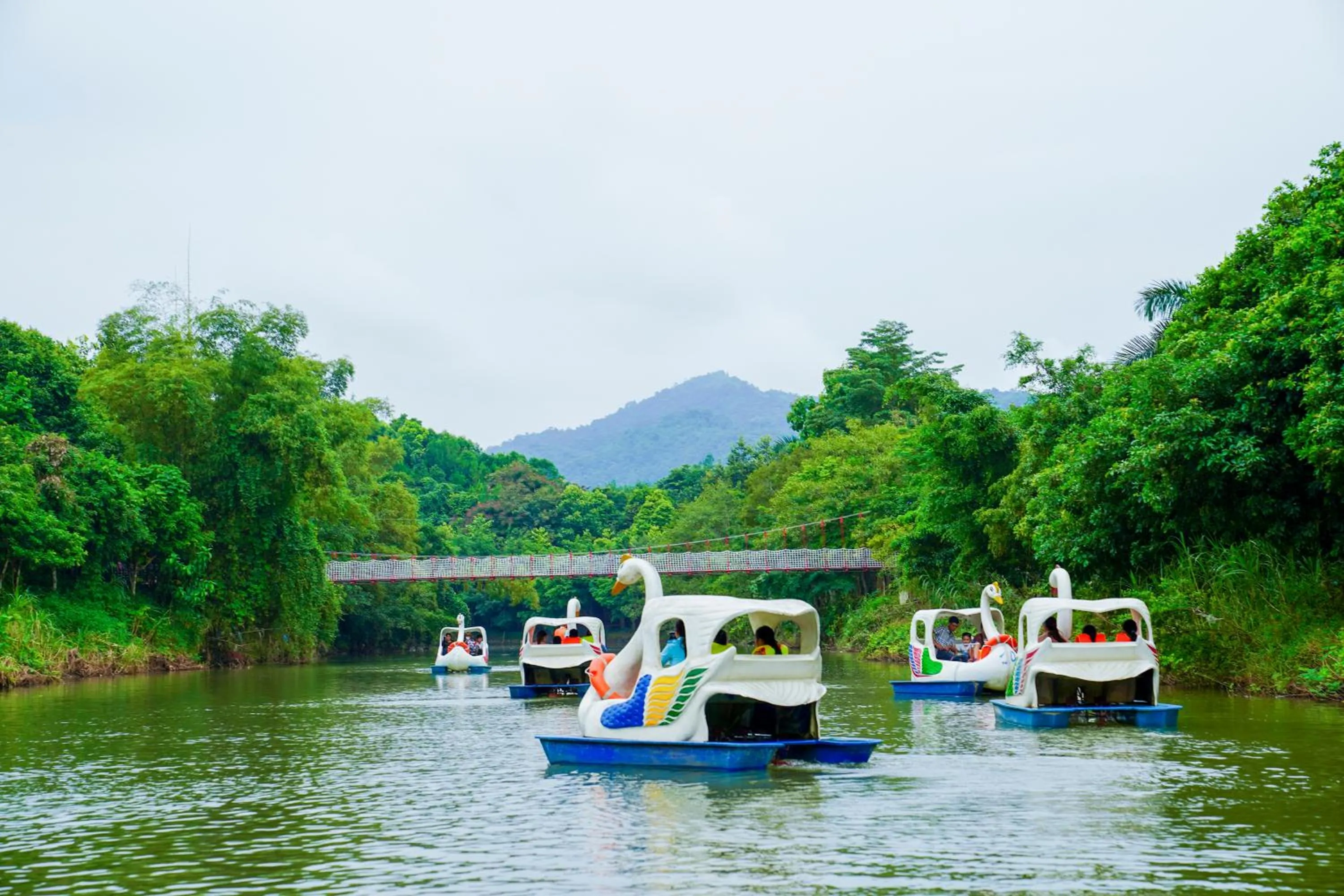 Property building in MEDDOM Park
