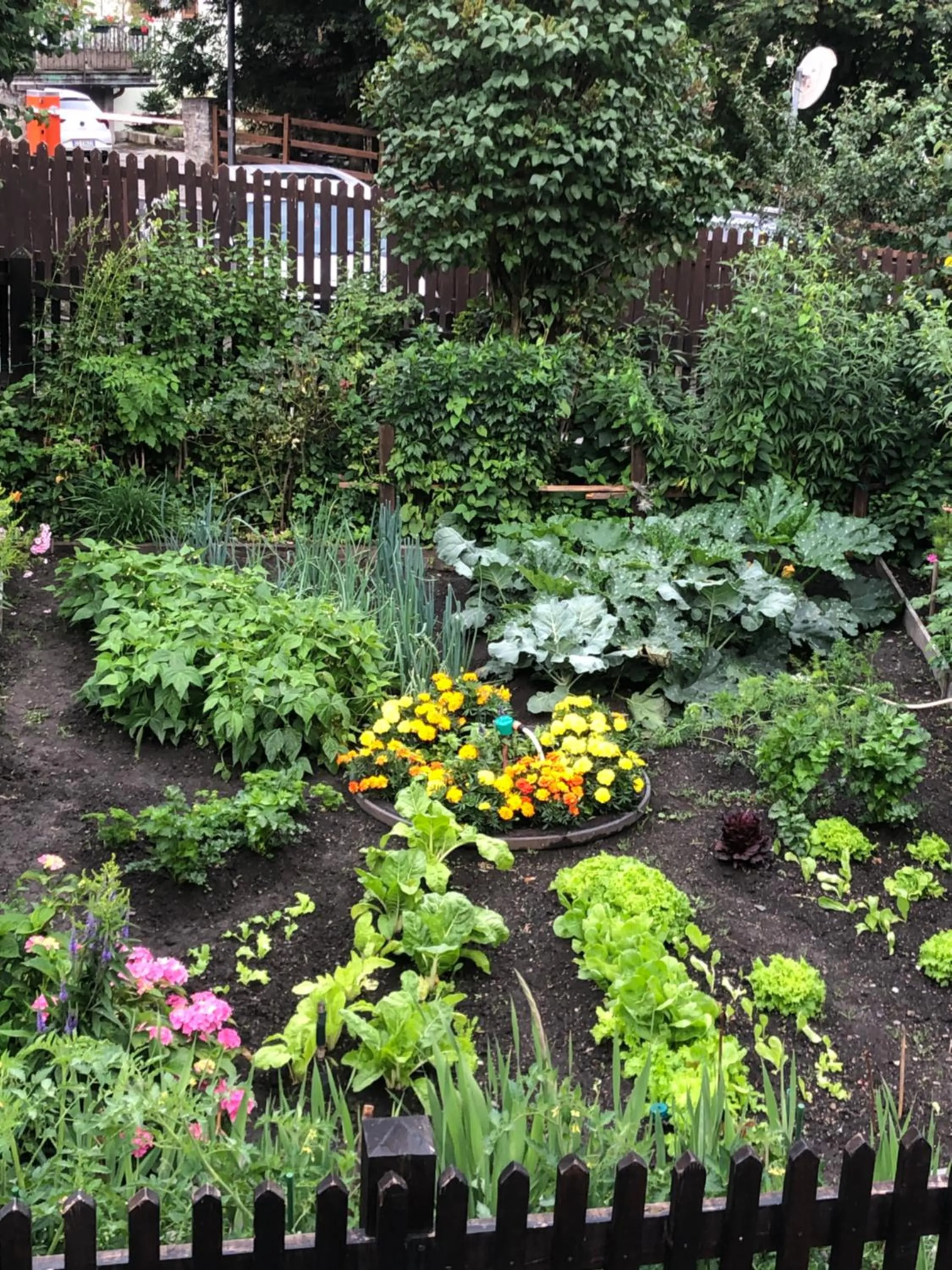Garden in Maison Laurent
