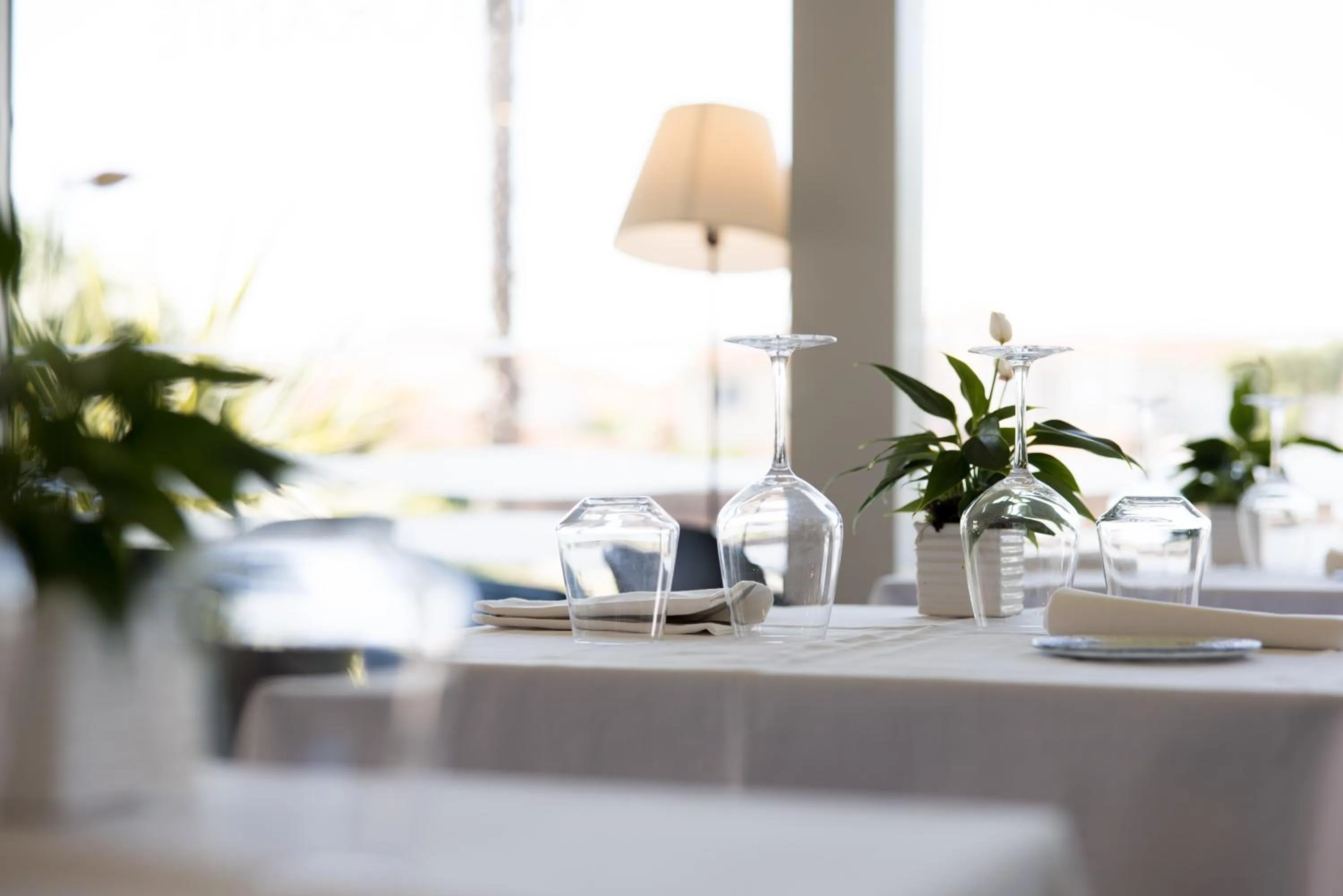 Restaurant/places to eat in Hotel Viareggio