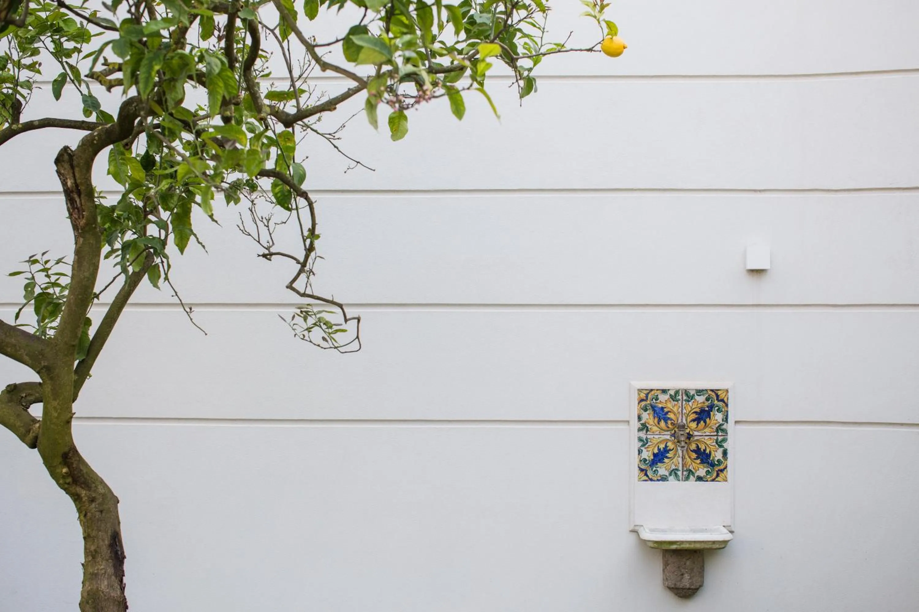 Garden in Hotel Mignon Meublè