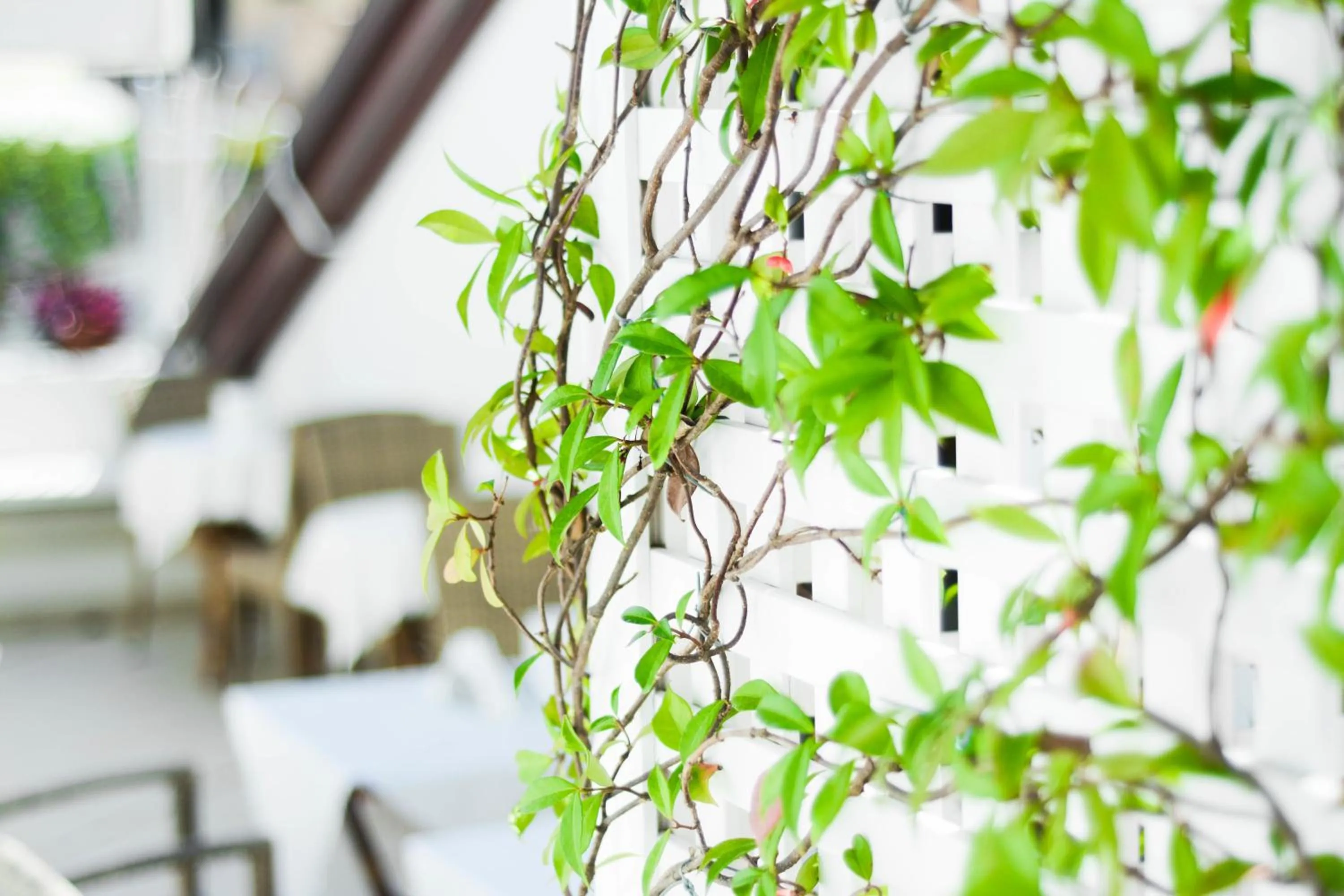 Decorative detail in Residenza Luce