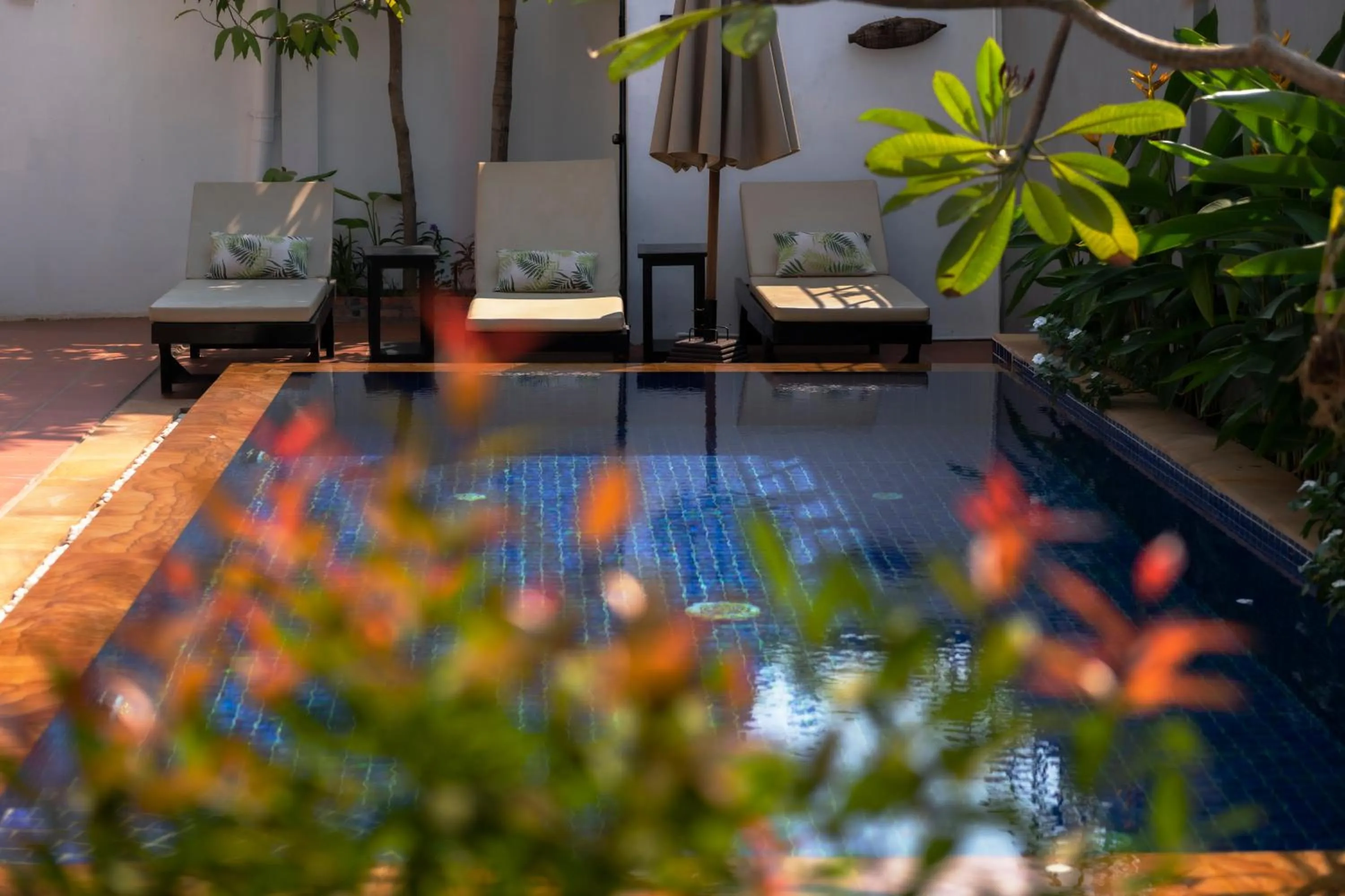 Swimming pool in Villa Agati