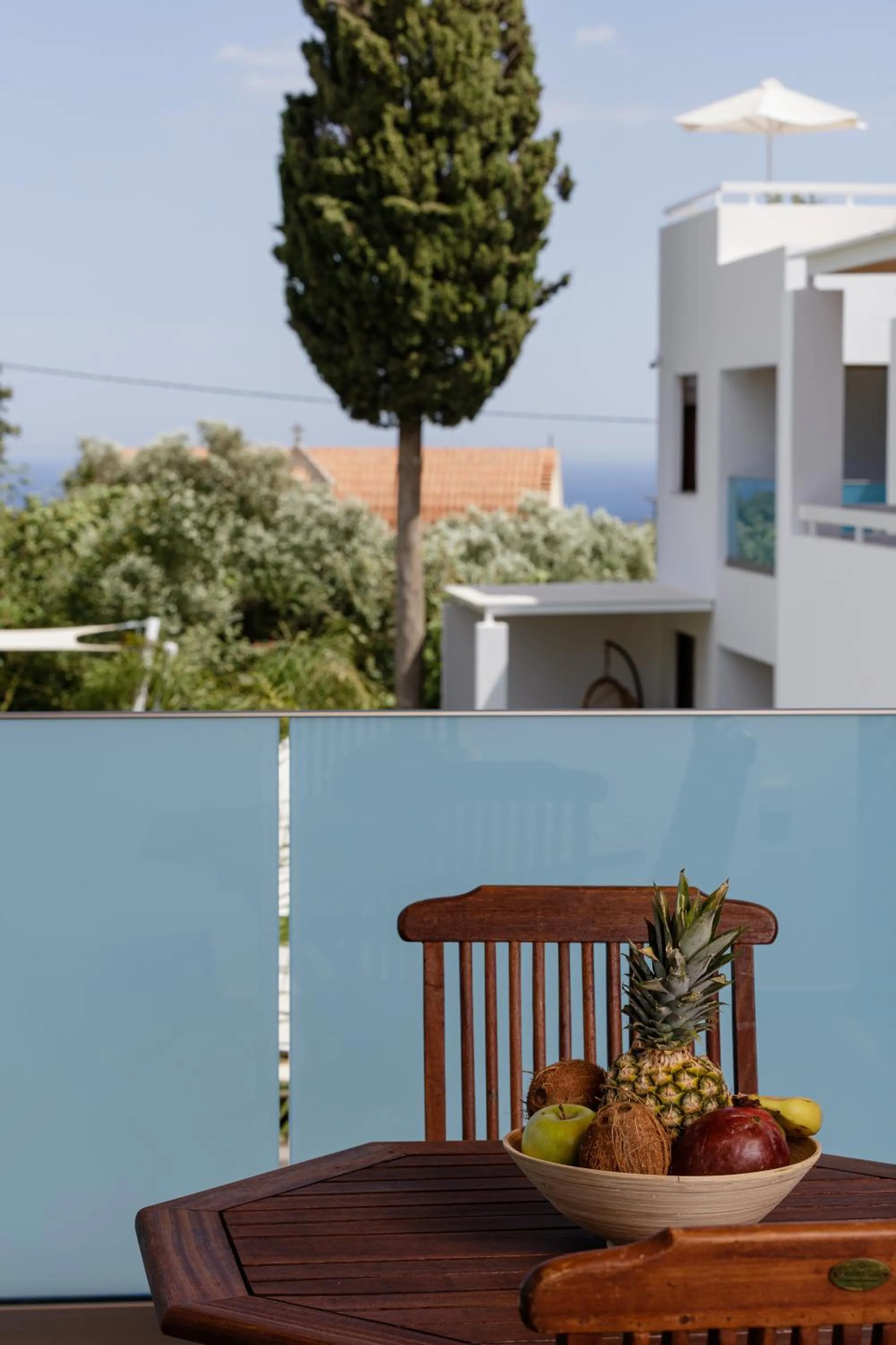 Day in Coconut Palm Paradise