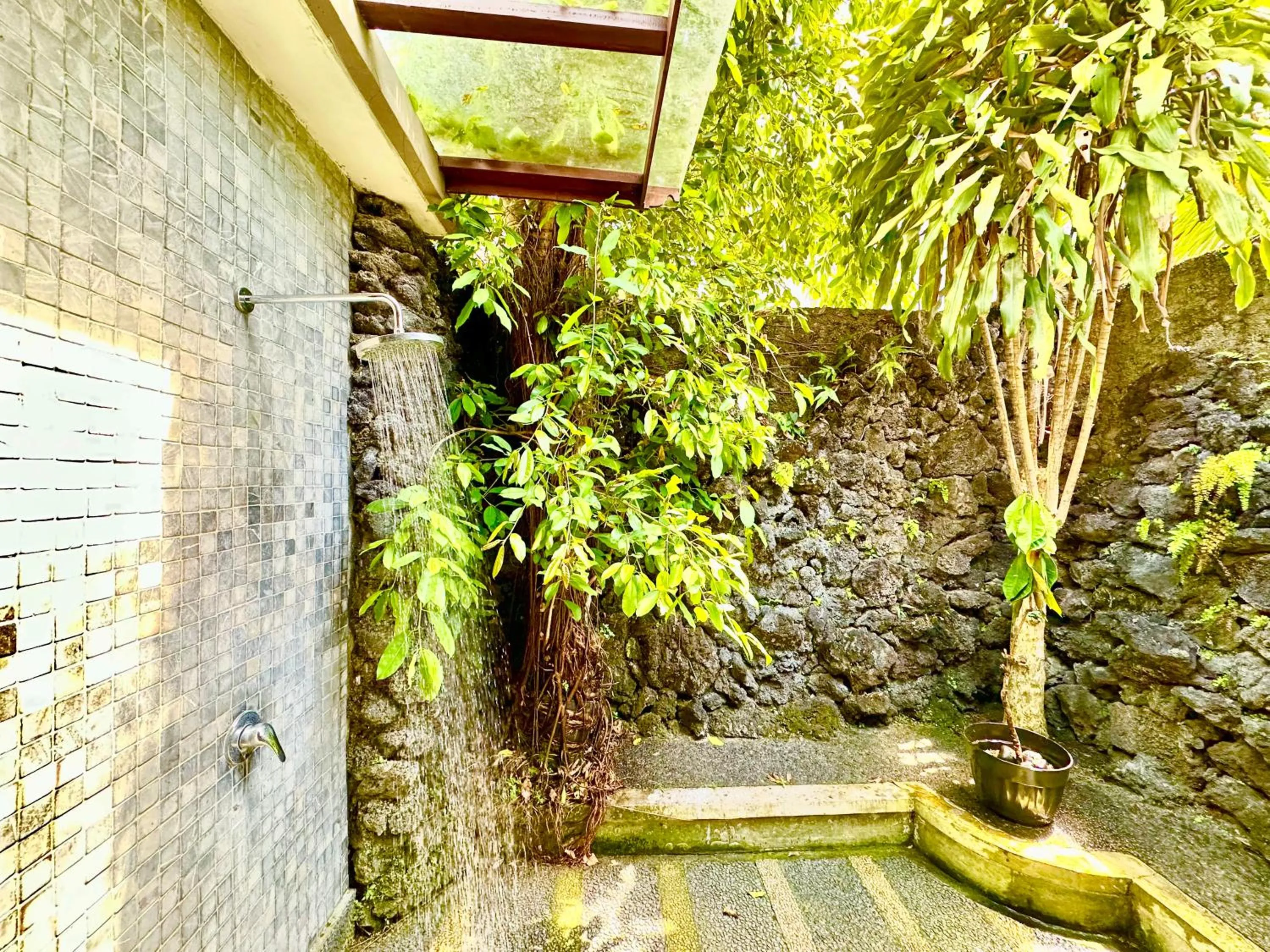 Property building in Dupa Ubud