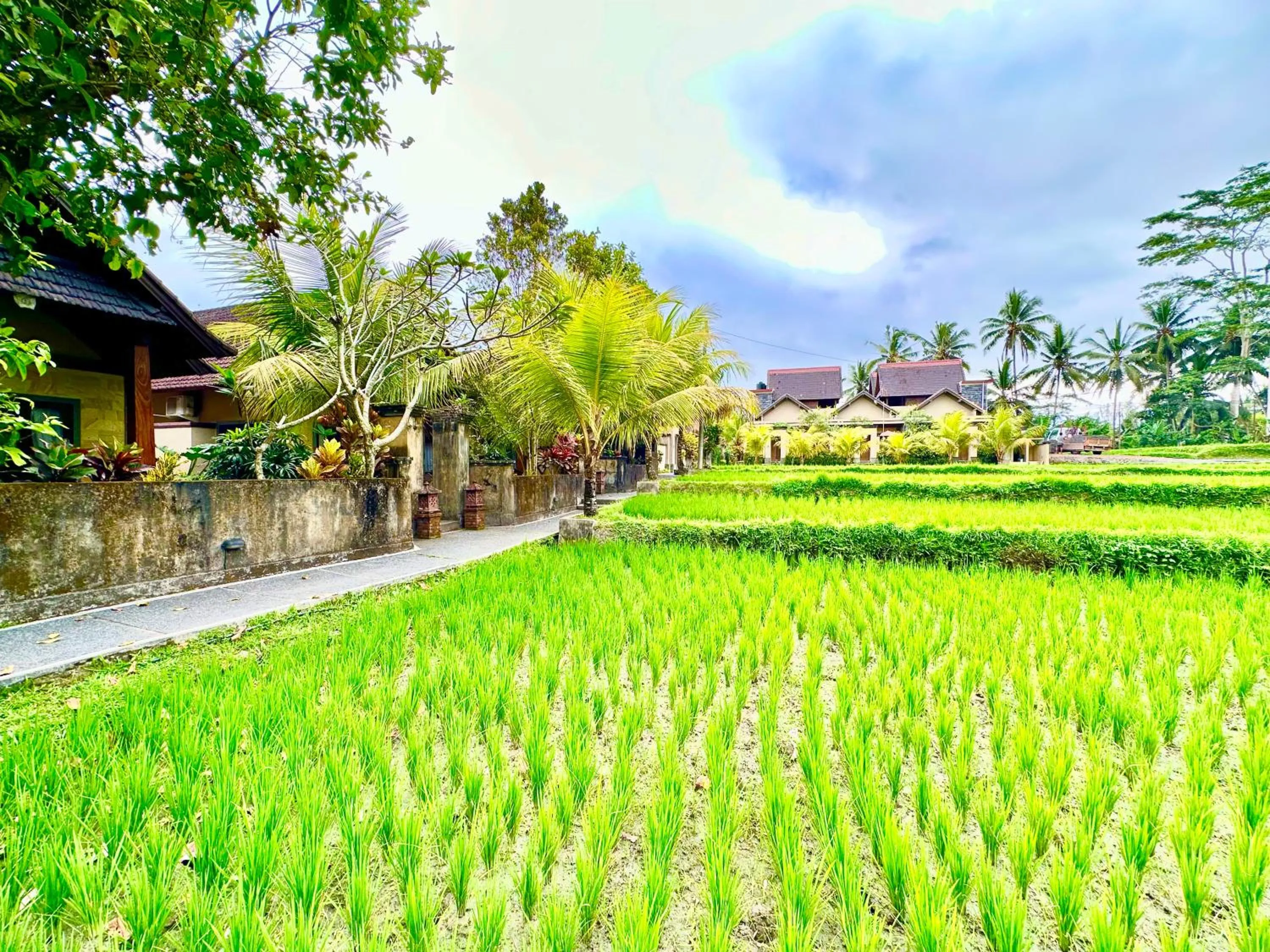 Property building in Dupa Ubud