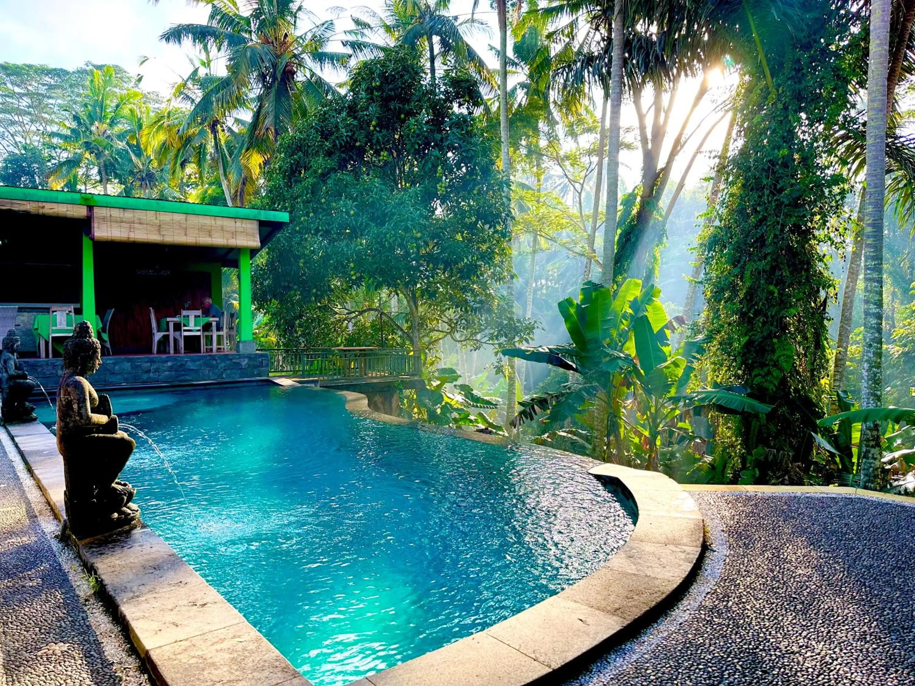 Swimming pool in Dupa Ubud