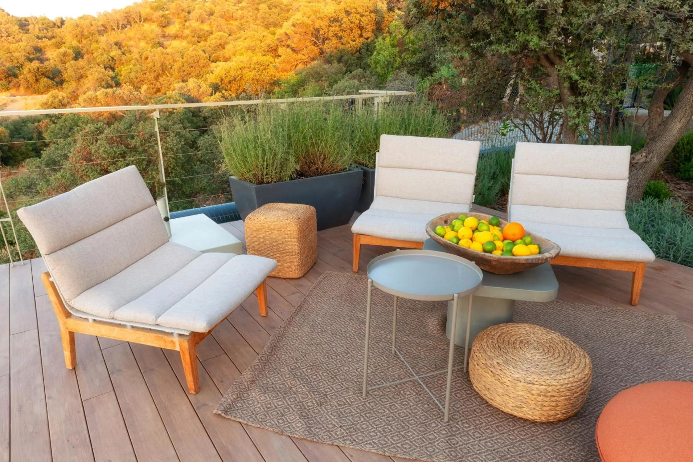 Patio in Birdcage 33 Hotel - Adult Only