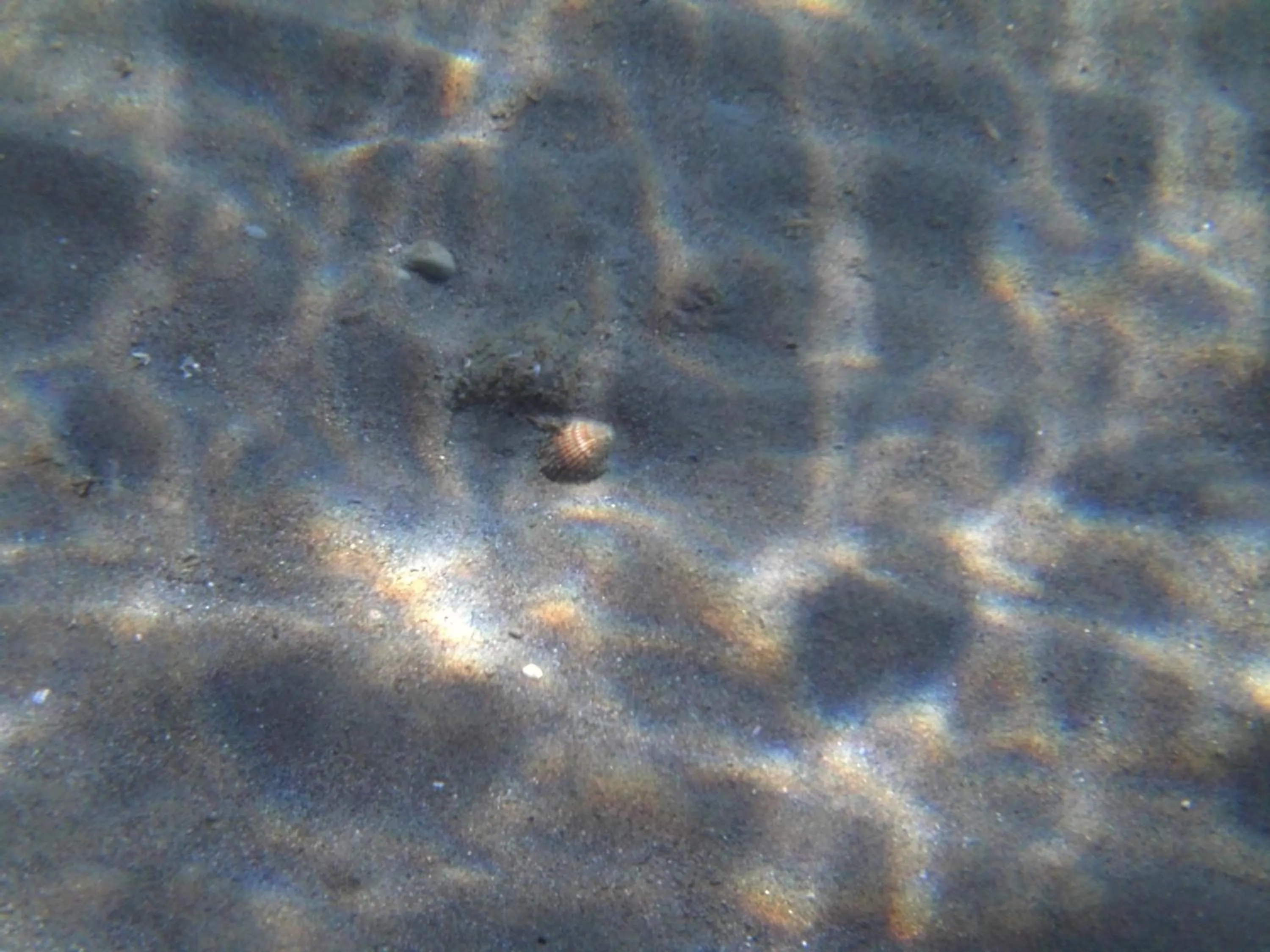 View (from property/room) in Captains Studios & Apartments