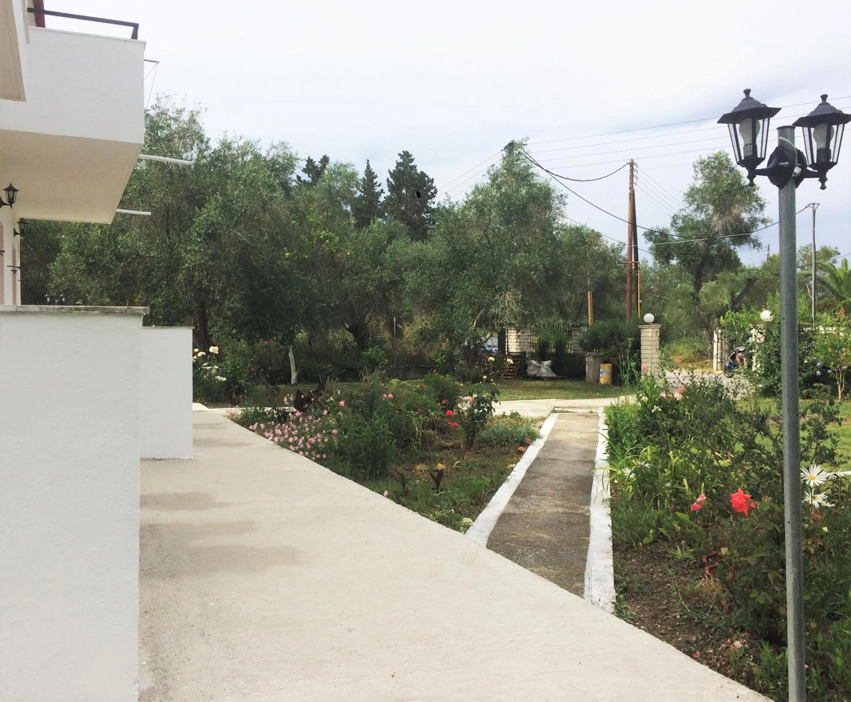 Garden in Captains Studios & Apartments