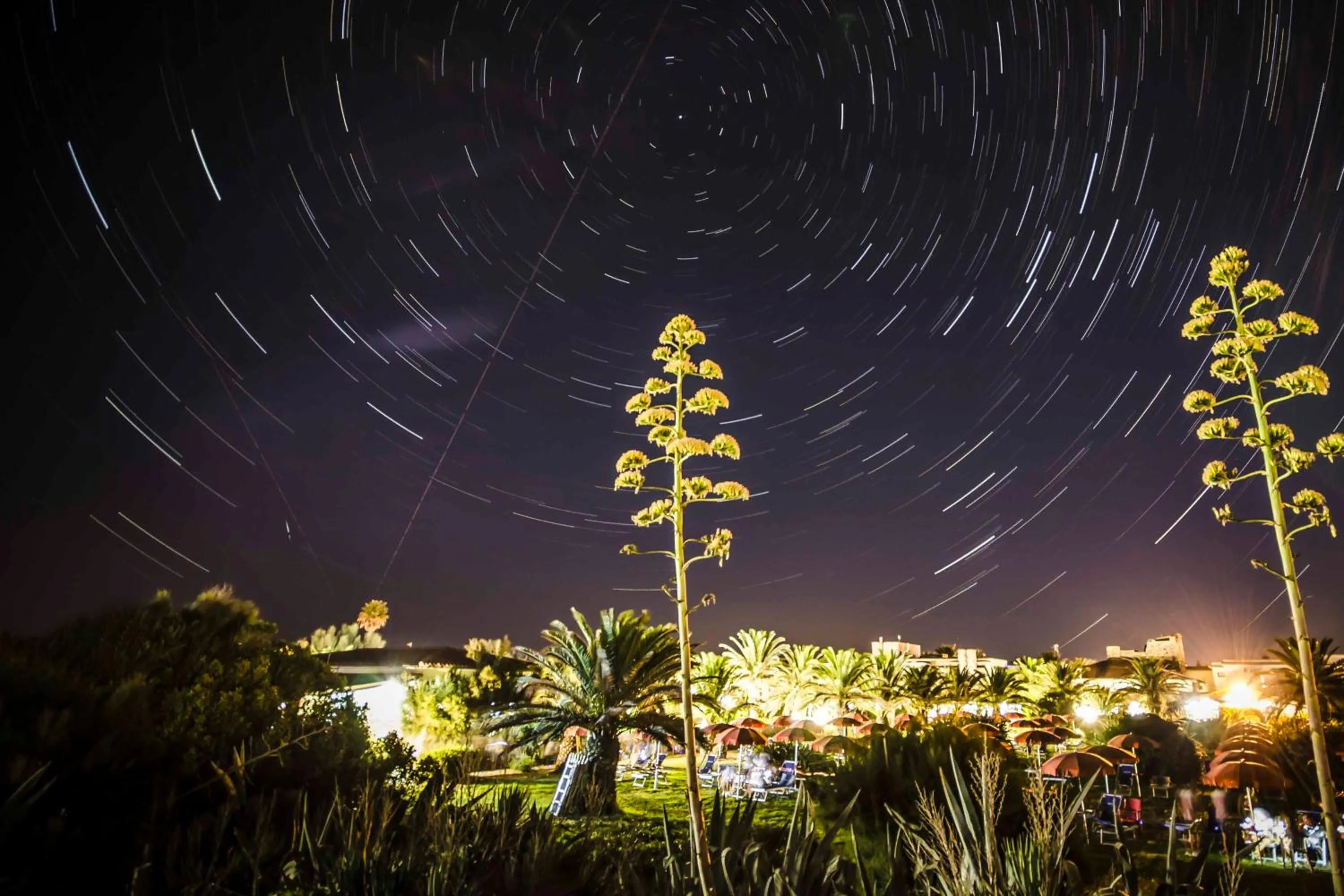 Garden in Torre Del Sole